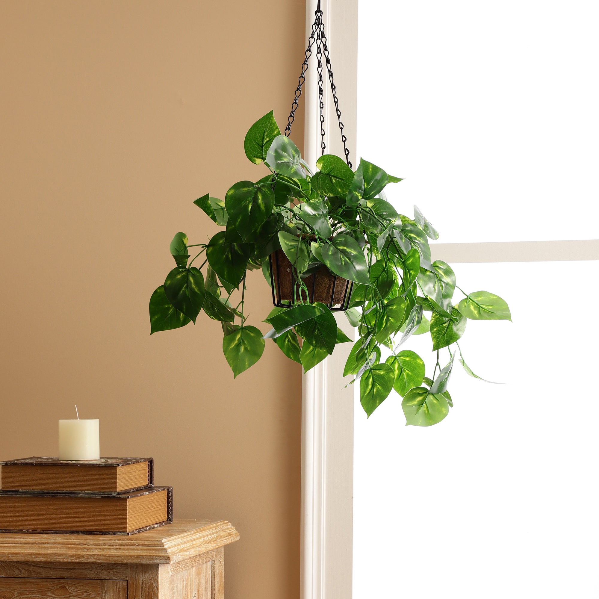 Hanging Faux Money Plant