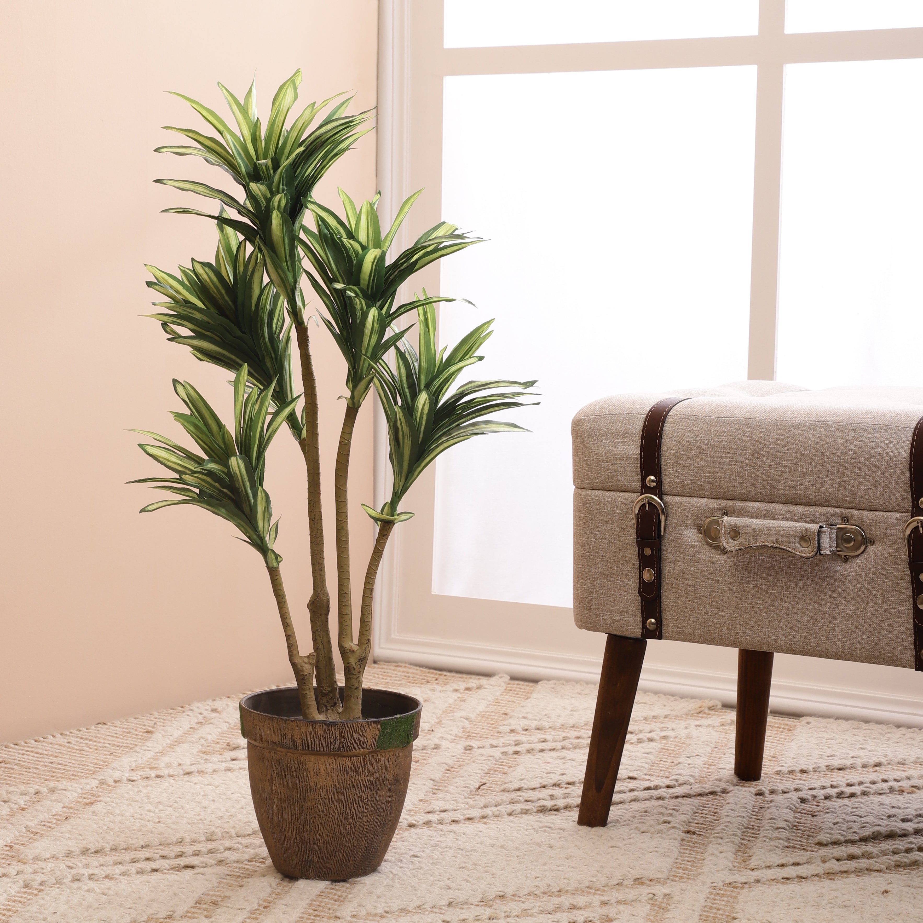 Stripes in White Dracaena Faux Plant (Medium)