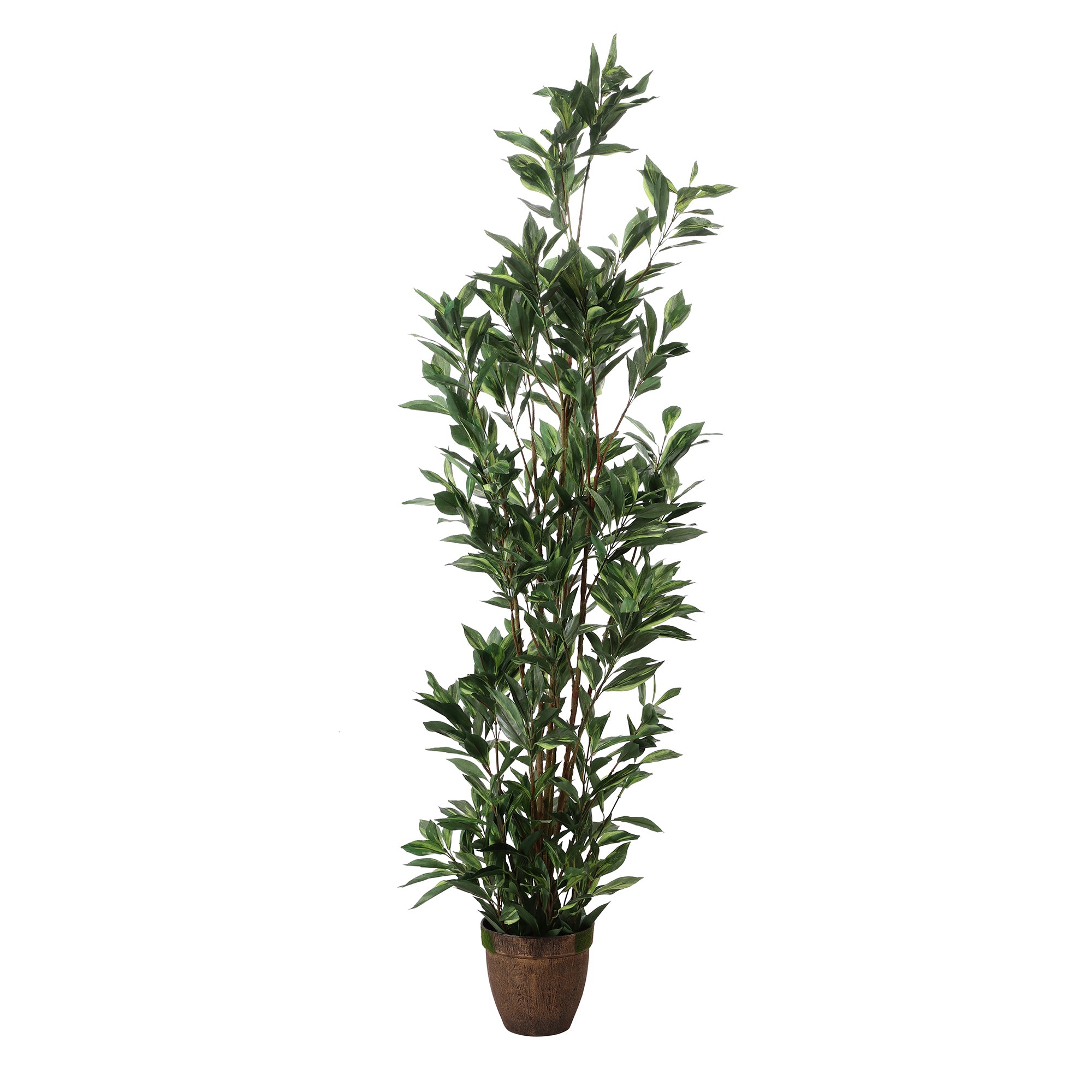 Green Dracaena Faux Plant with Pot (Tall)