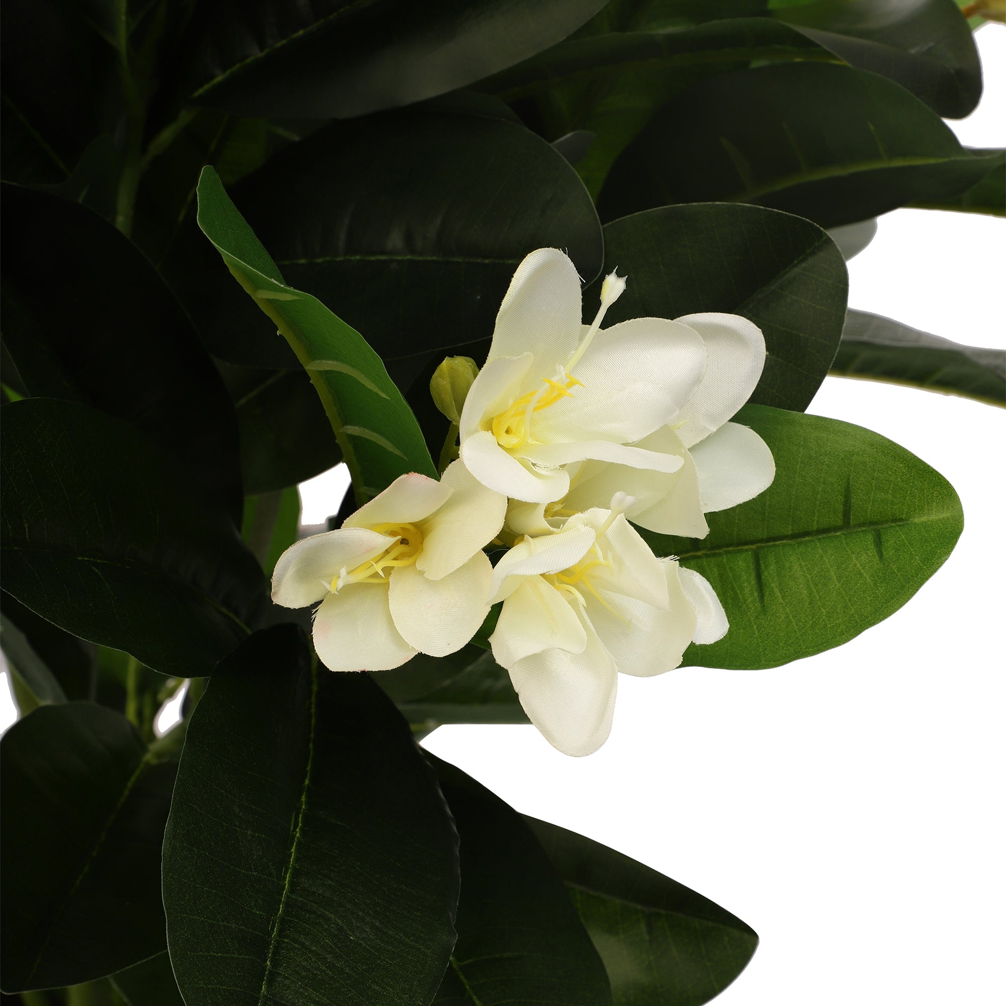 White Champa Faux Plant