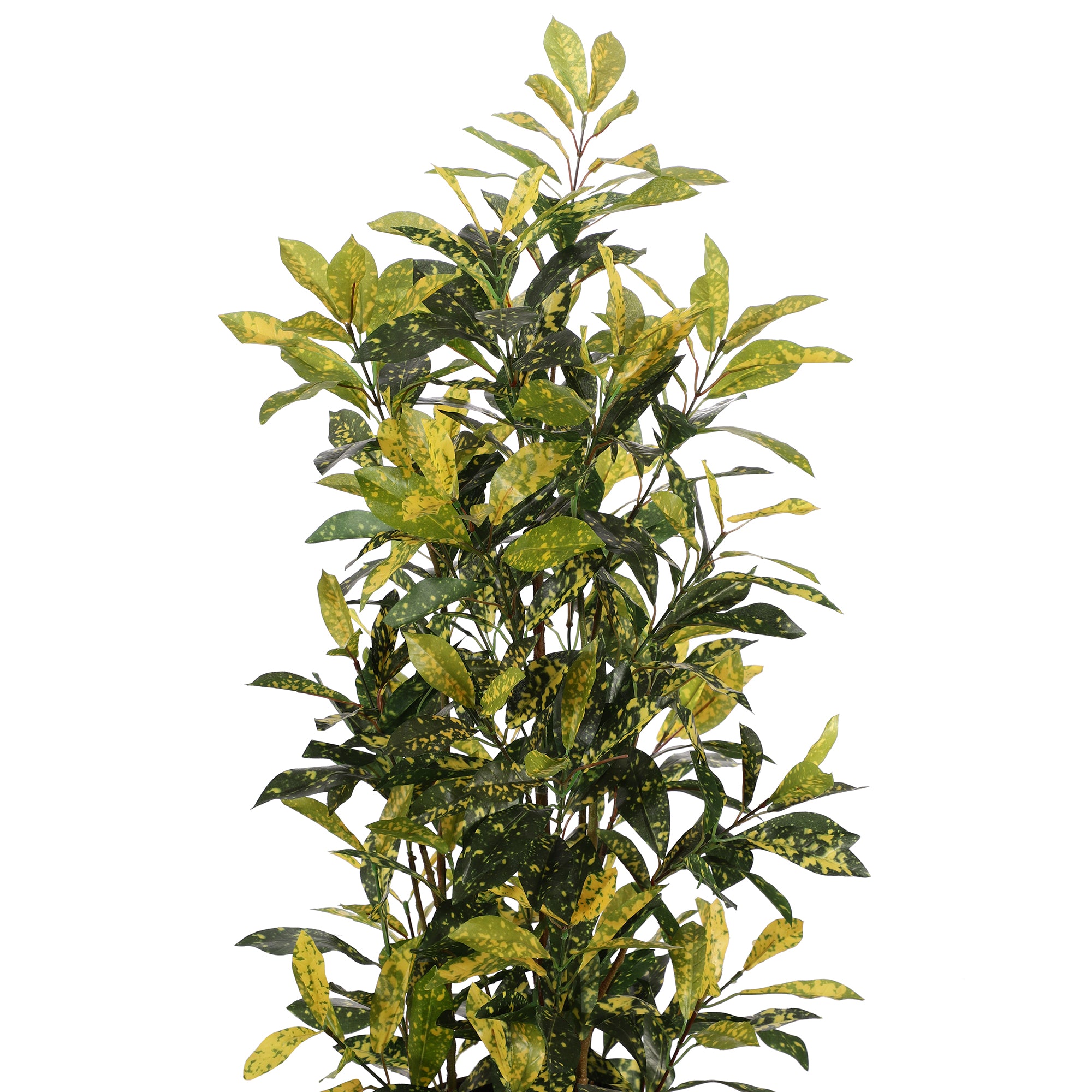 Yellow Freckles Faux Japanese Aucuba with Pot