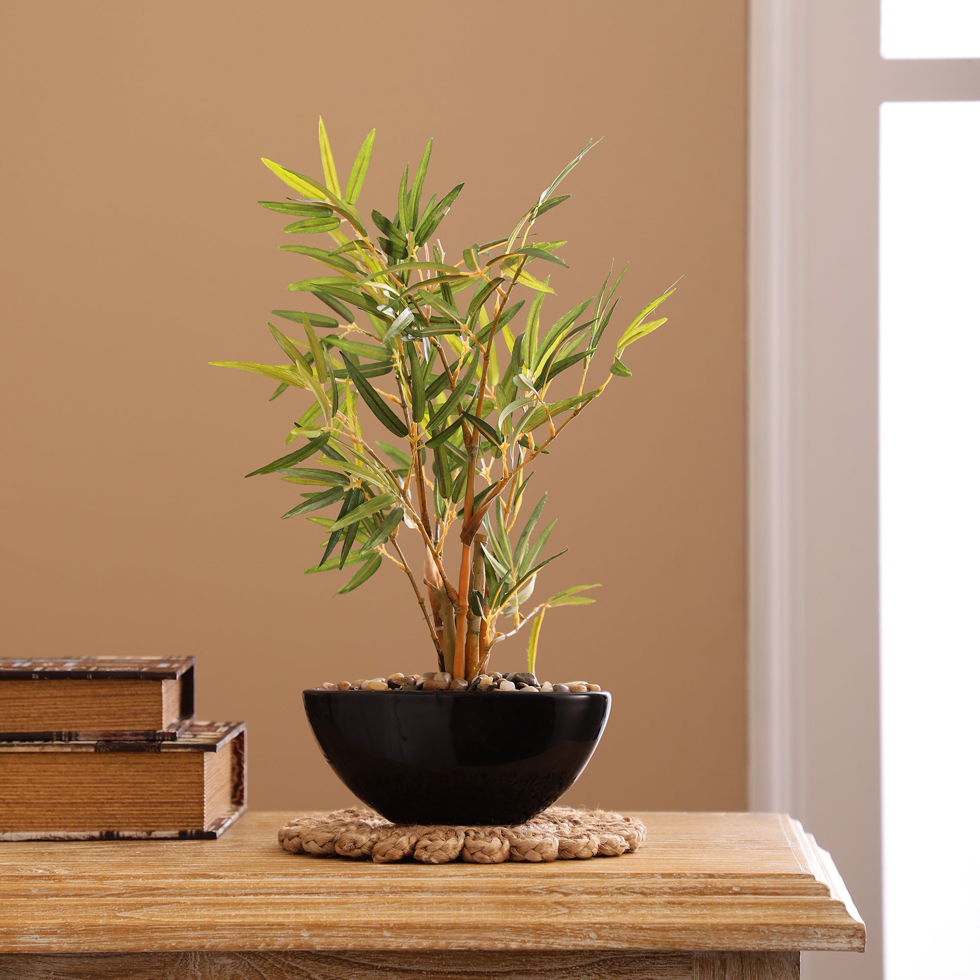 Bamboo Bonsai Ceramic Potted Plant