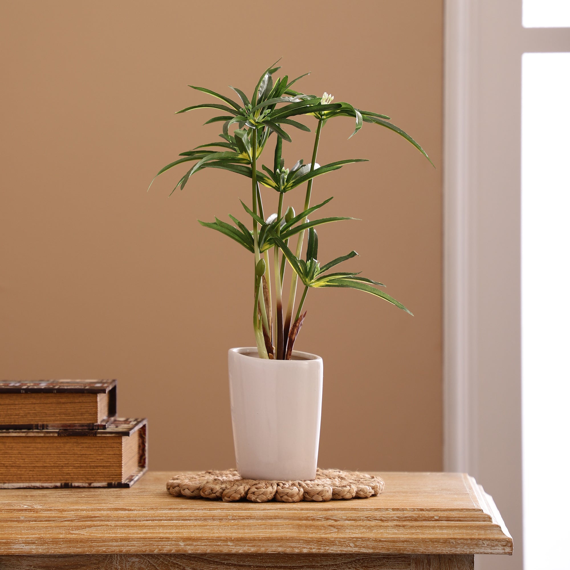 Pianta Artificiale Di Eucalipto In Vaso Ceramica – Admired By Nature – Finta Verde Per Scrivania, Ufficio E Casa – 8x9x8 Cm - 5