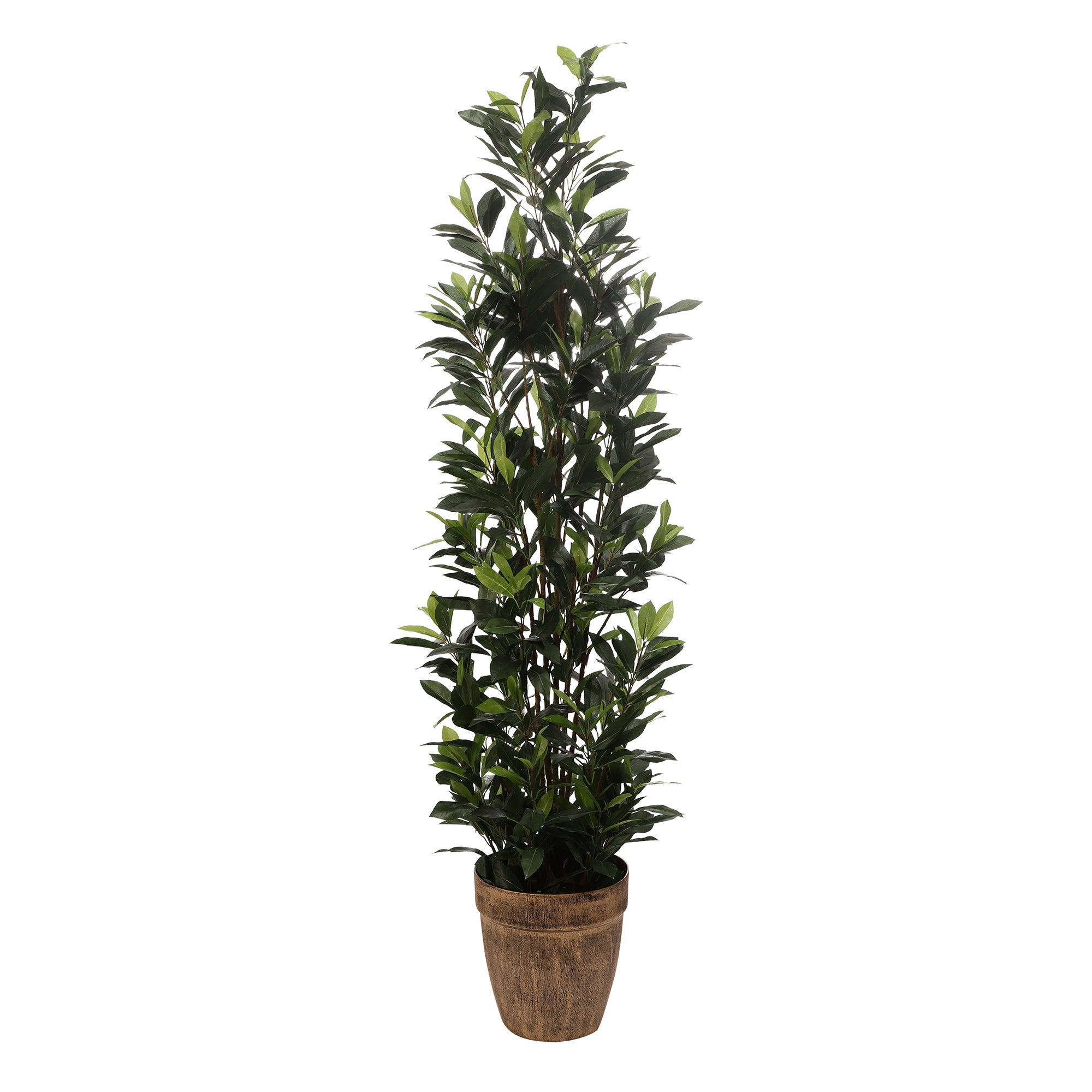Bay Laurel Faux Plant
