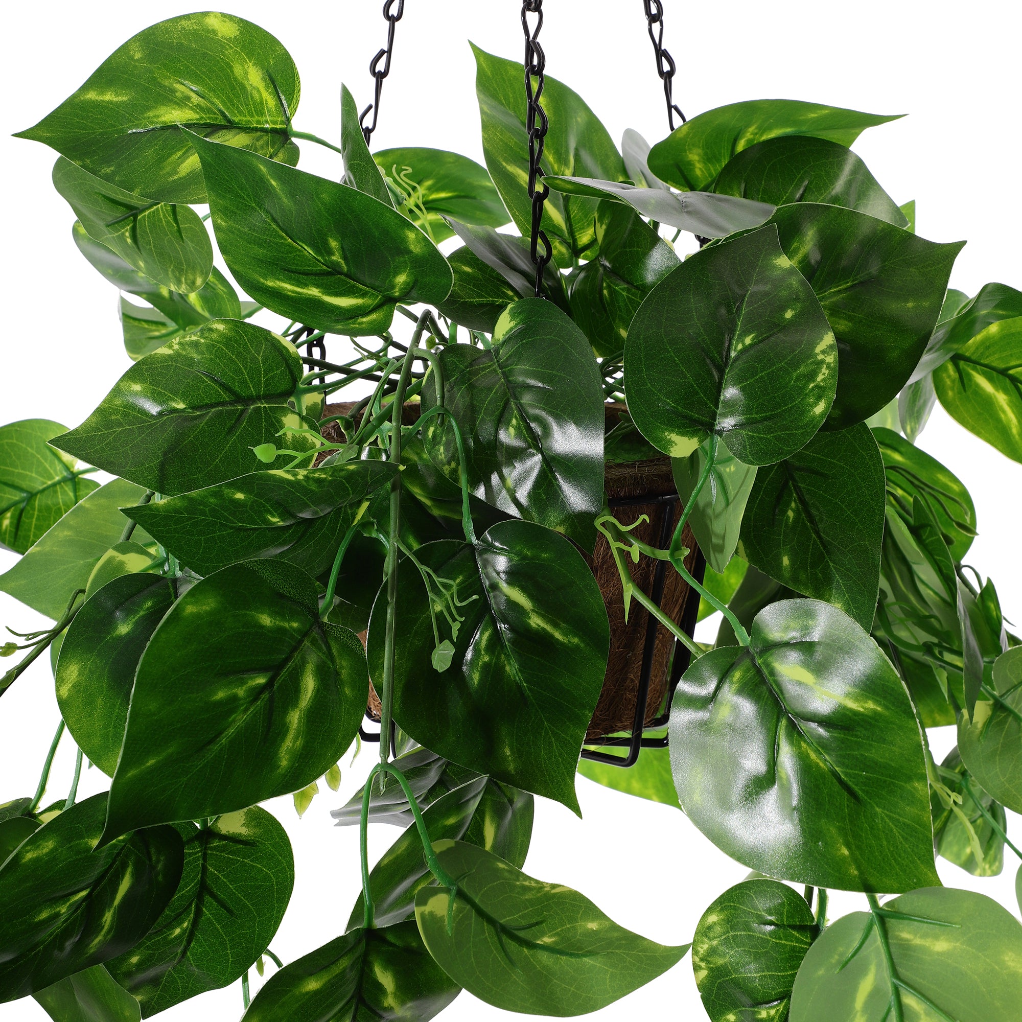 Hanging Faux Money Plant