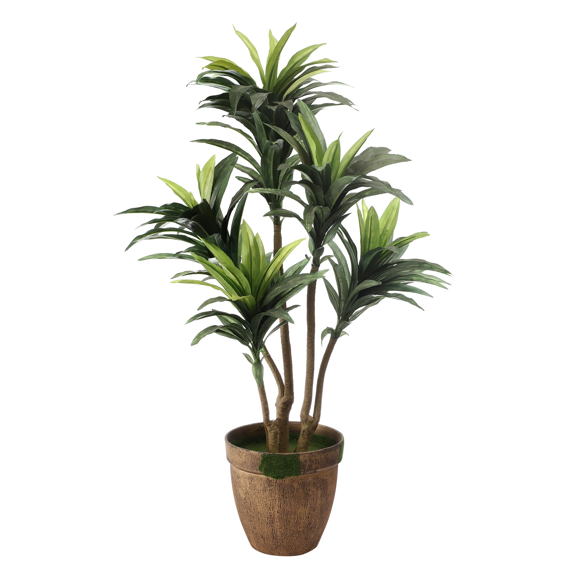 Stripes in White Dracaena Faux Plant (Medium)