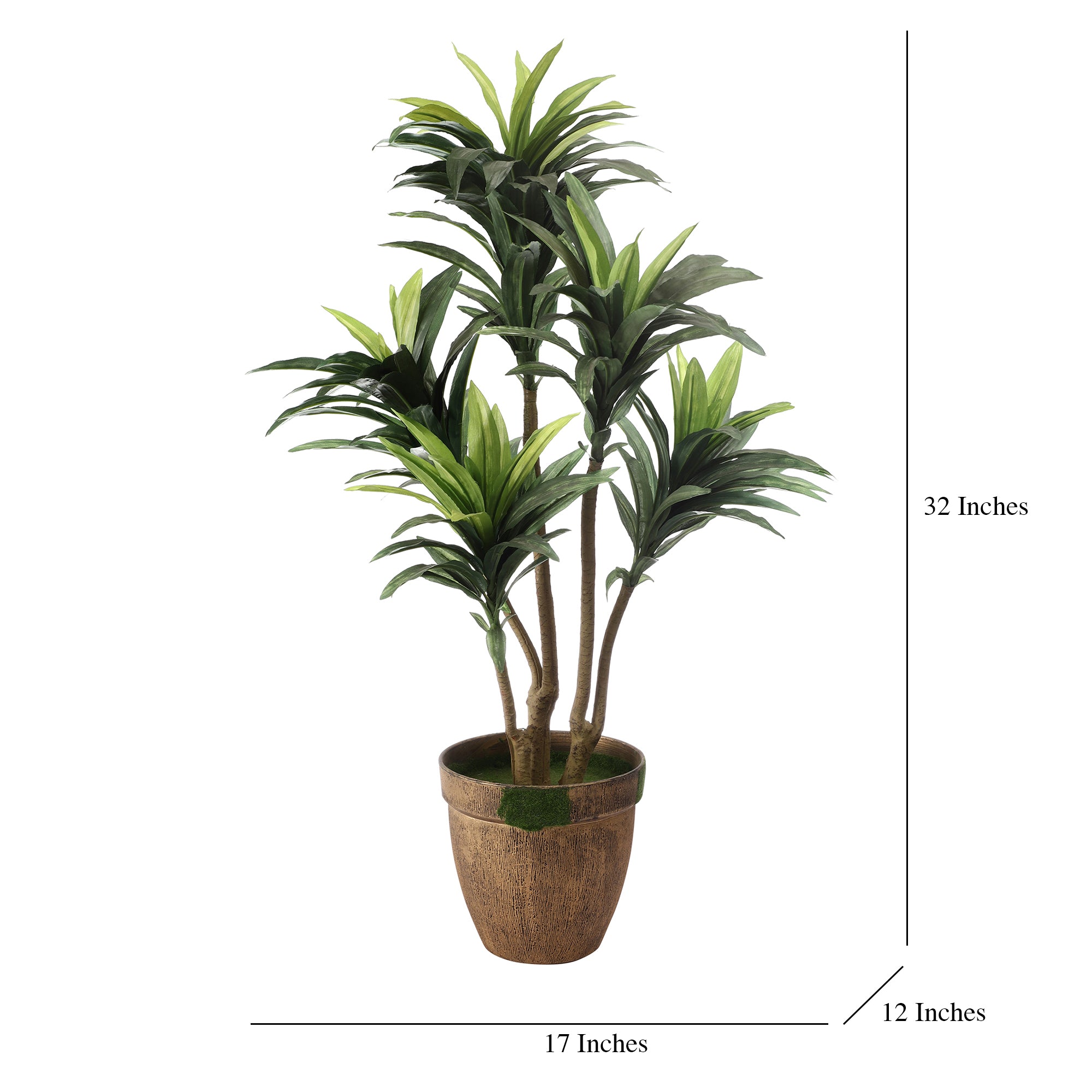Stripes in White Dracaena Faux Plant (Medium)