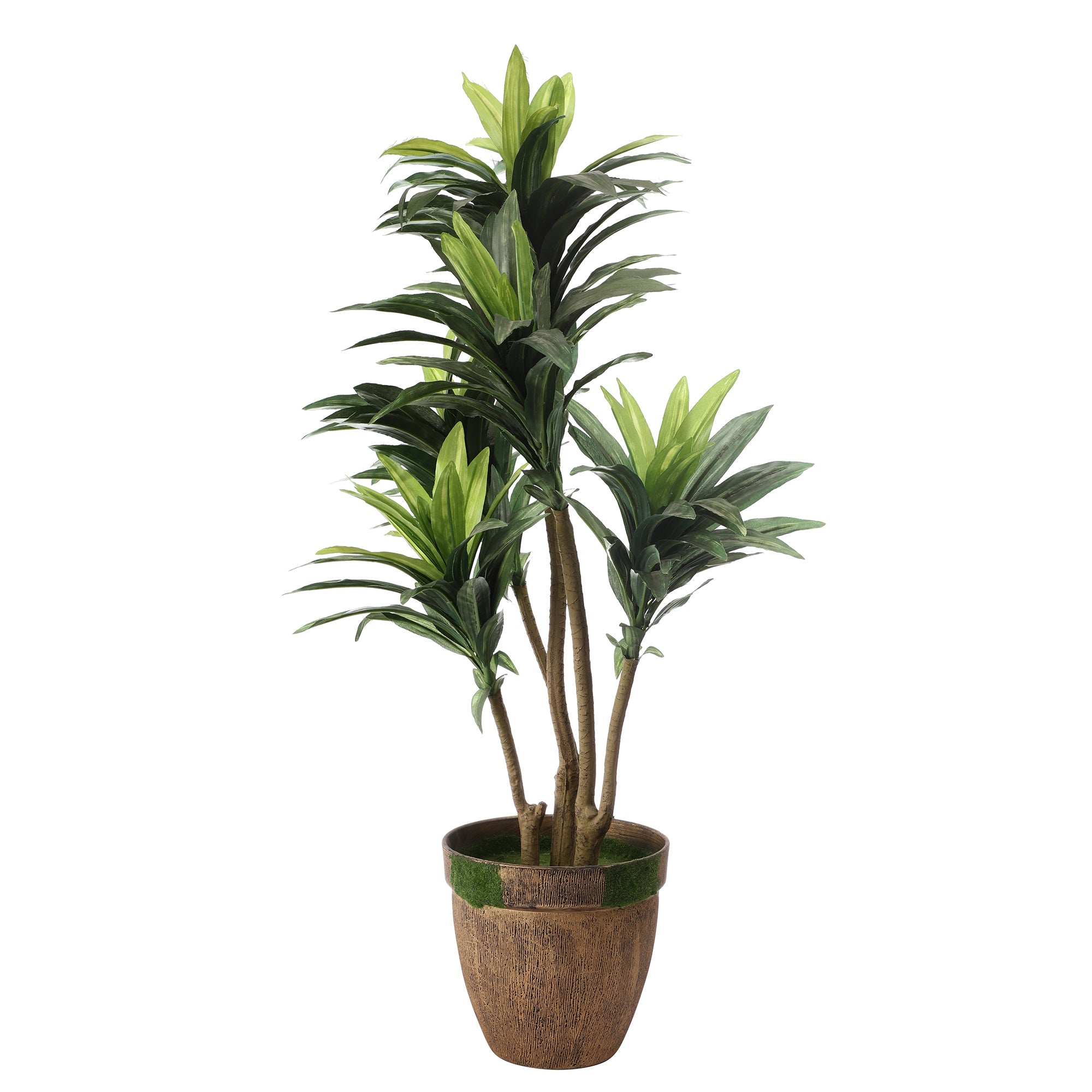 Stripes in White Dracaena Faux Plant (Medium)