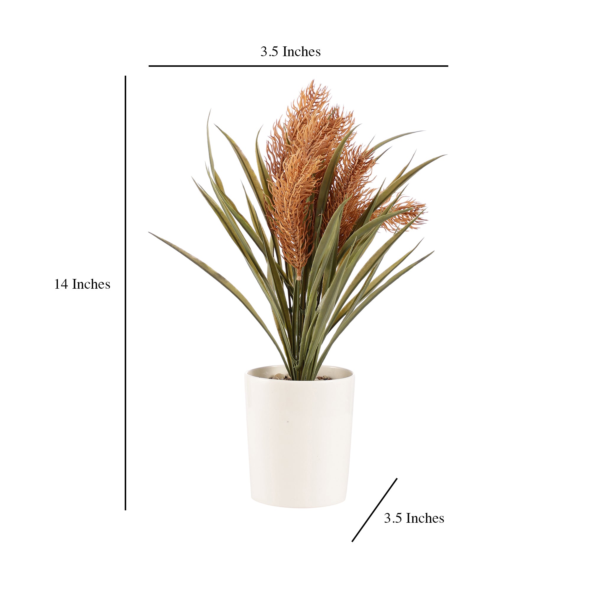 Sunkissed Yucca Pampas Bonsai Ceramic Potted Plant