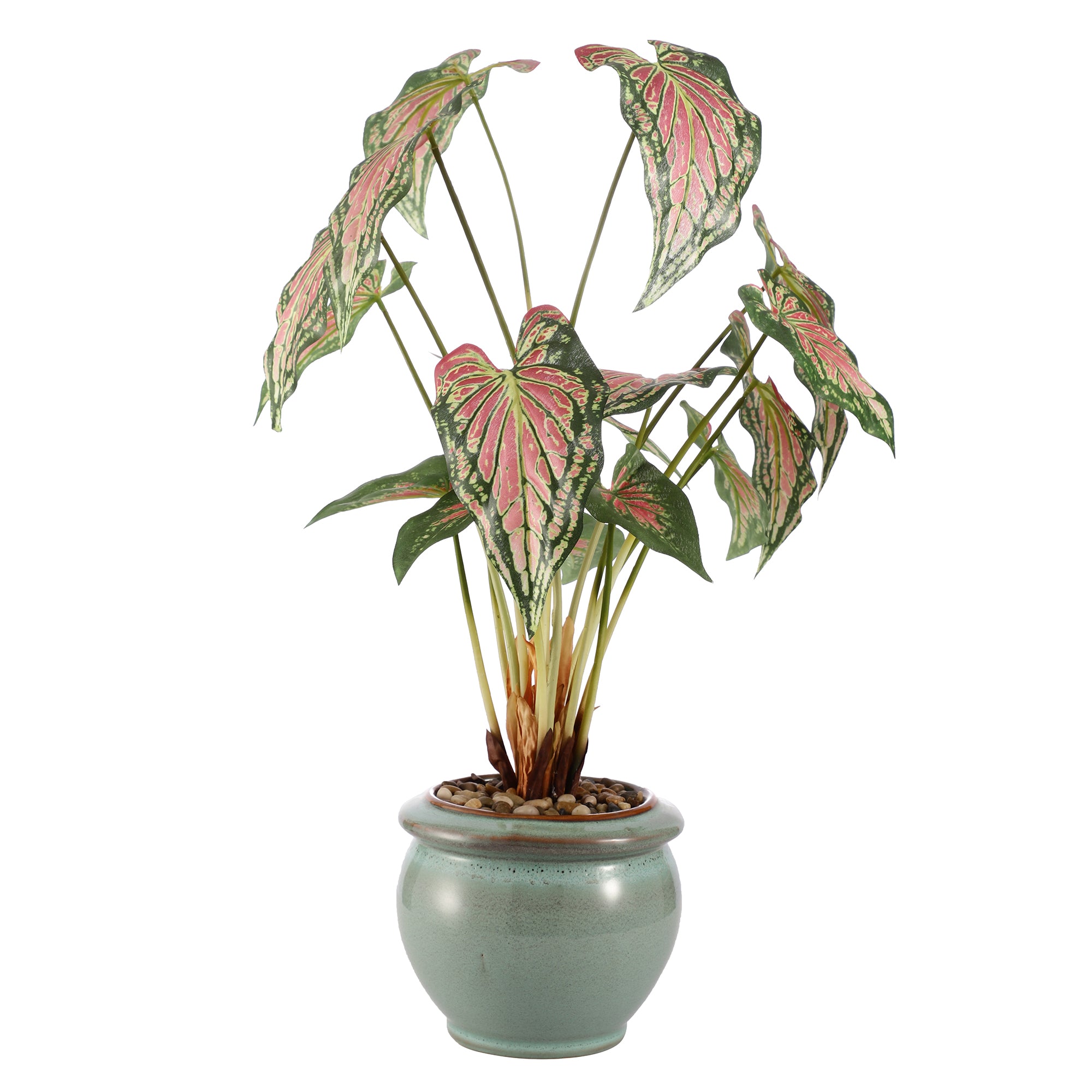Passion Pink Caladium Faux Ceramic Potted Plant