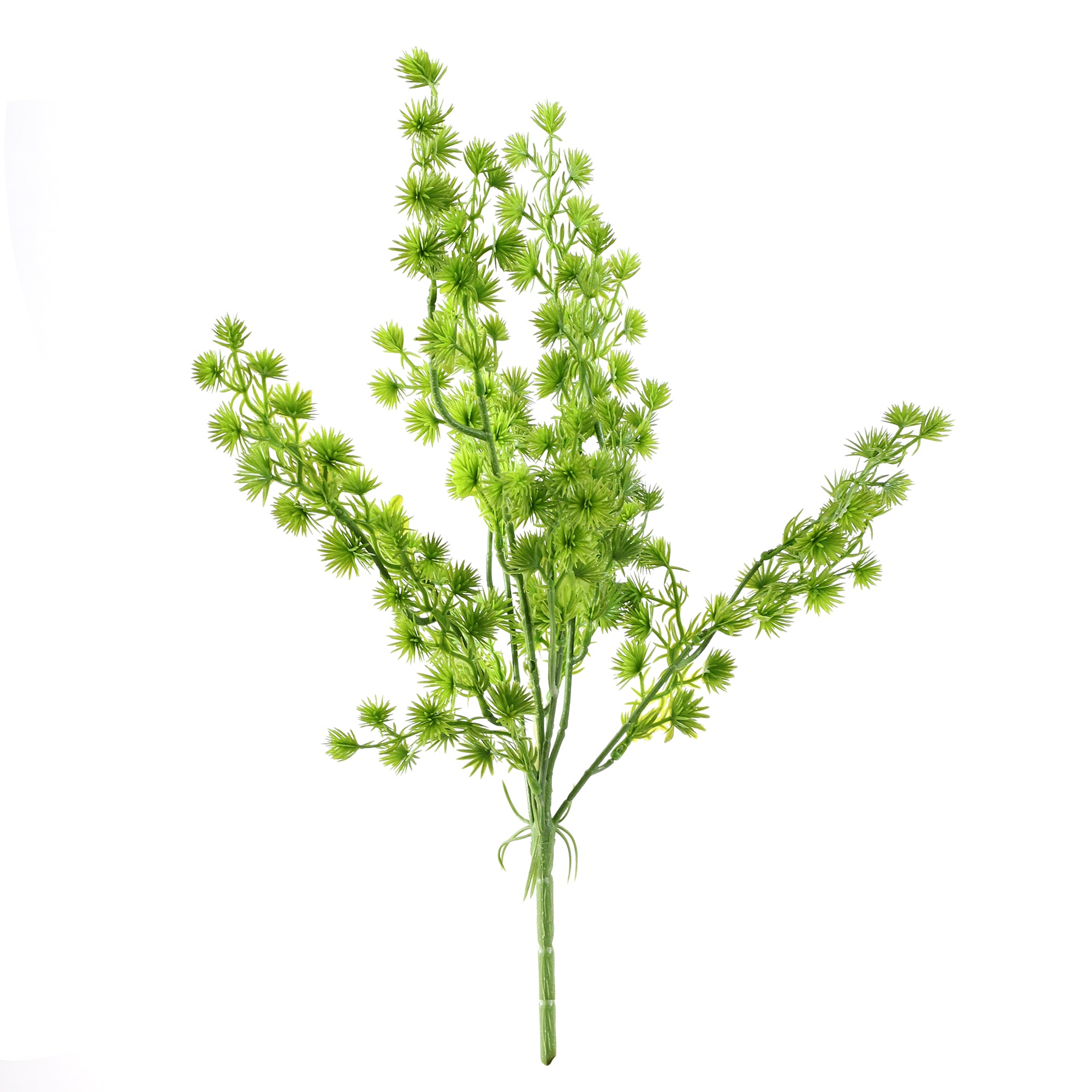 Green Fern Stem (Single)