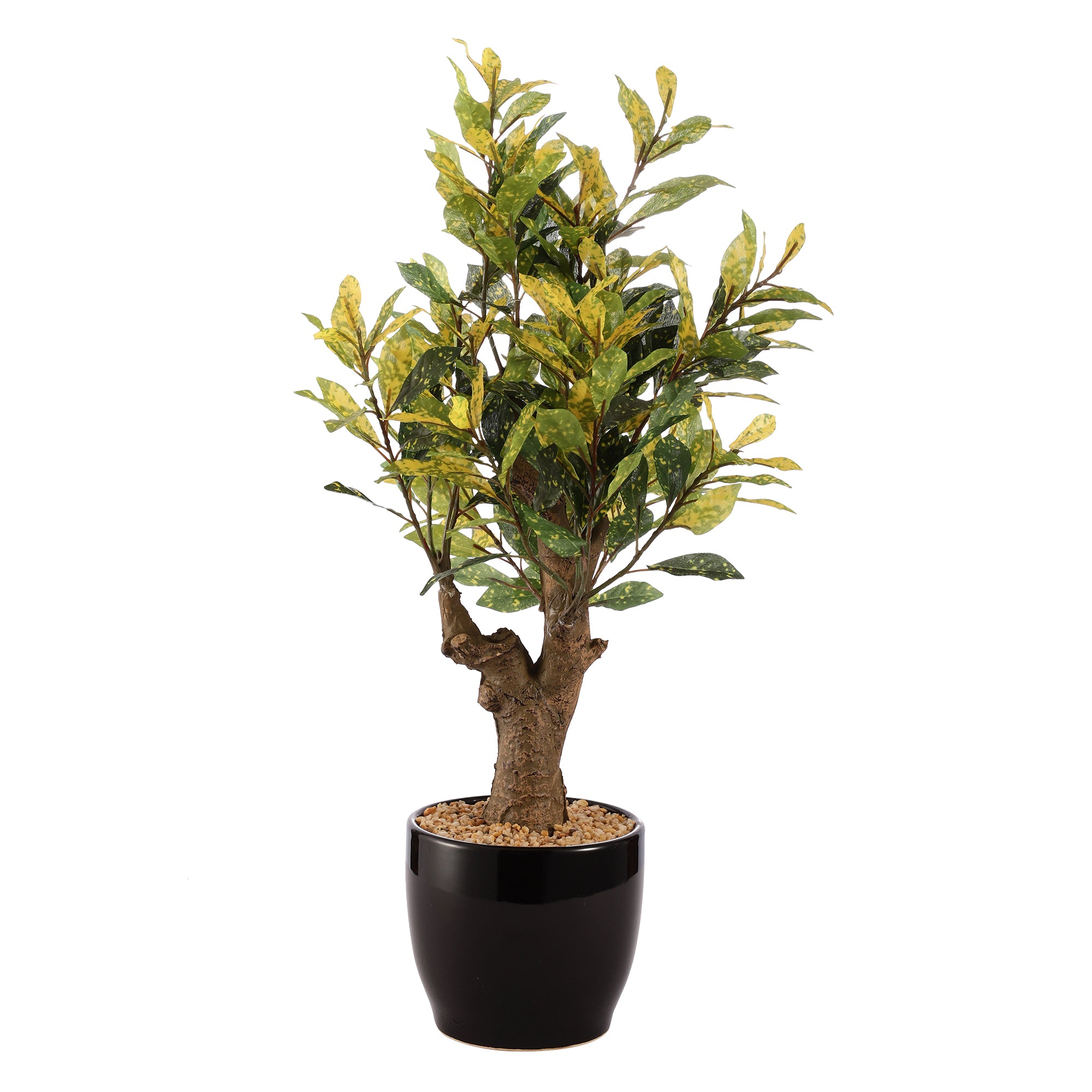 Japanese Aucuba Faux Ceramic Potted Plant