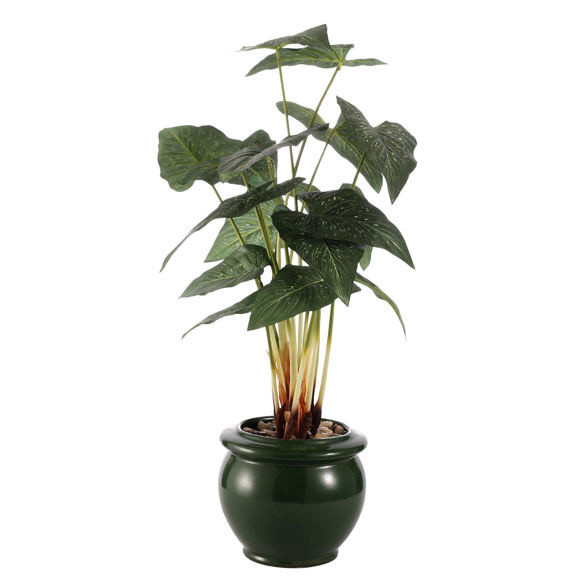 Green Caladium Faux Ceramic Potted Plant