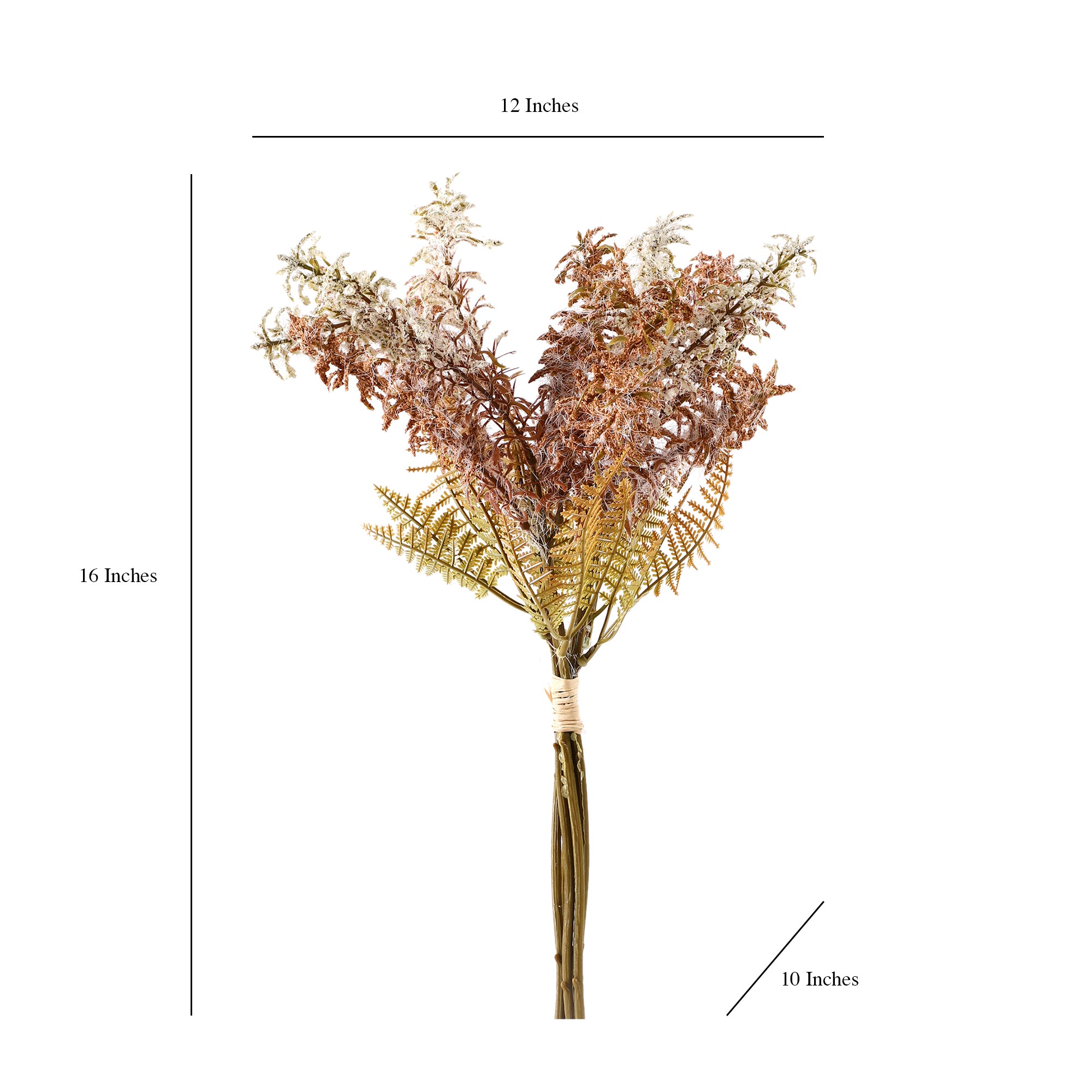 Brown Feather Fern Bunch (Single)