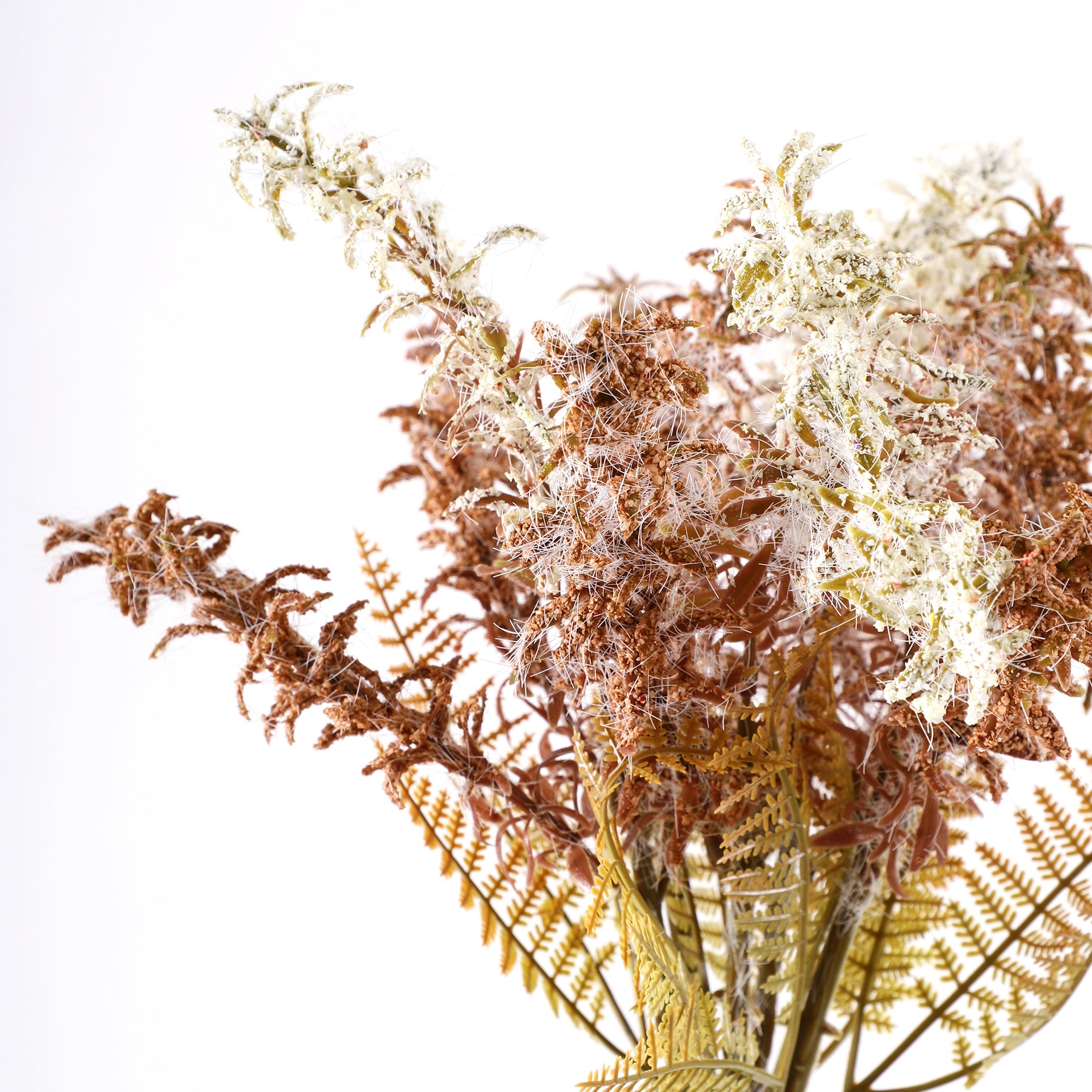 Brown Feather Fern Bunch (Single)