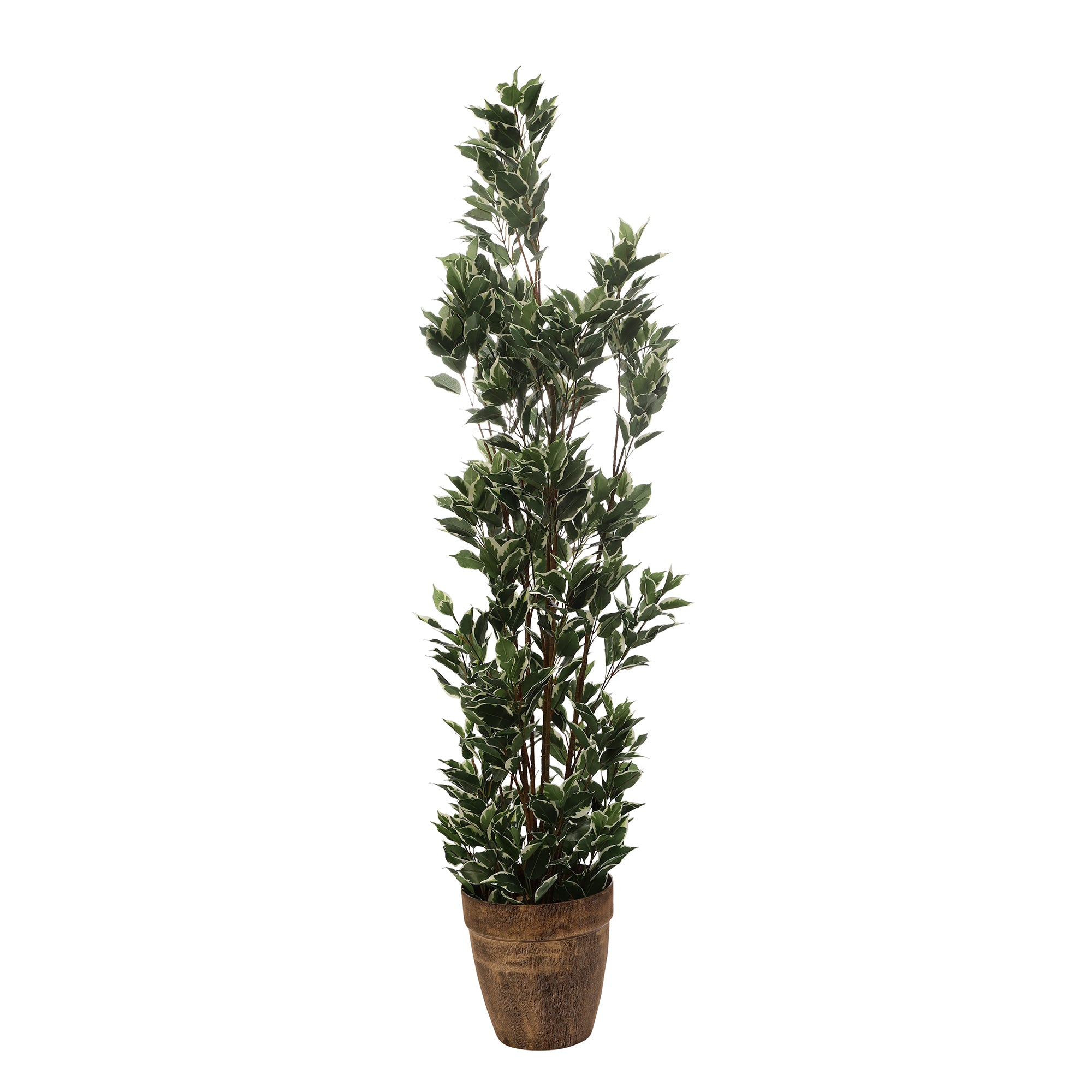 Schefflera Faux Plant (Dark Green/White)