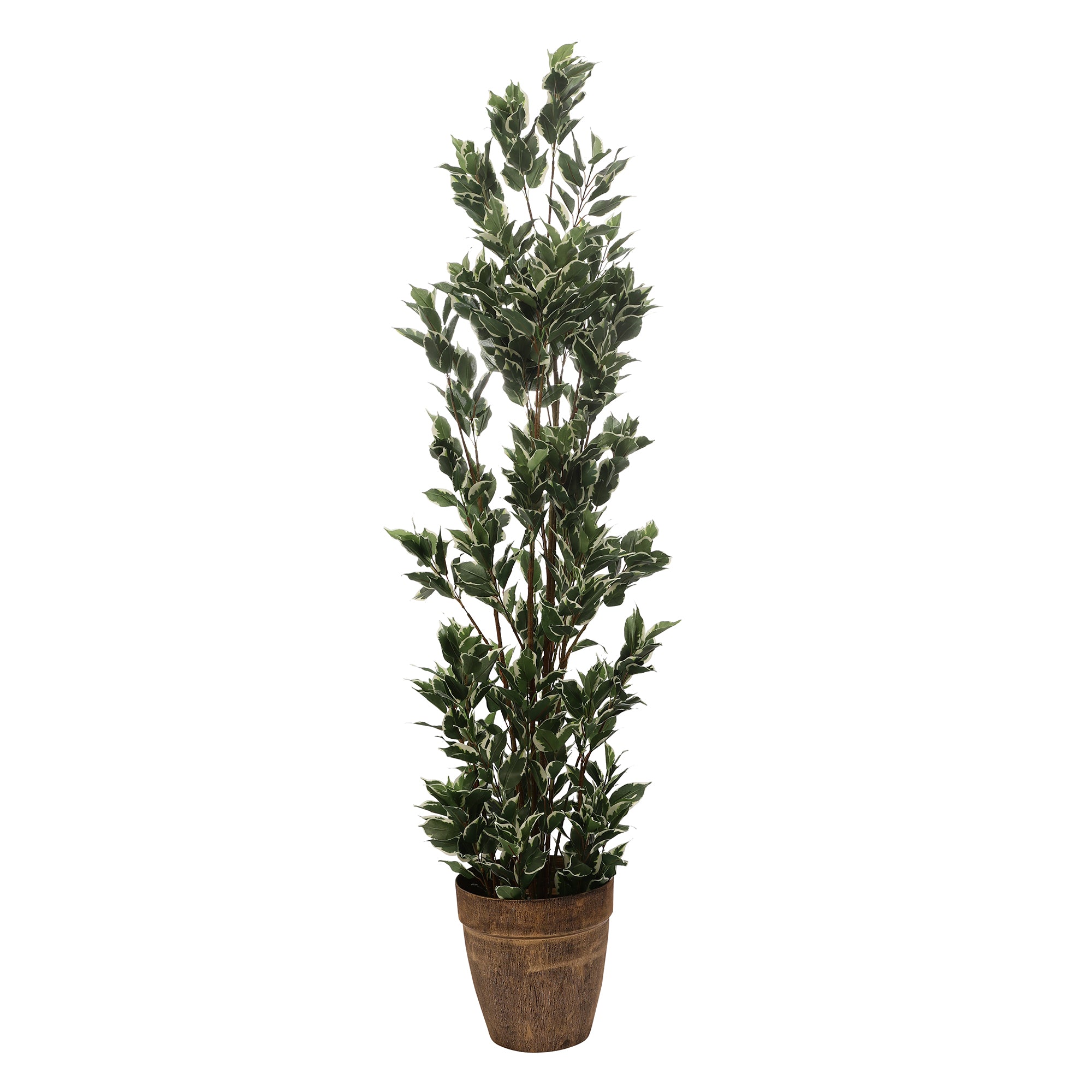 Schefflera Faux Plant (Dark Green/White)