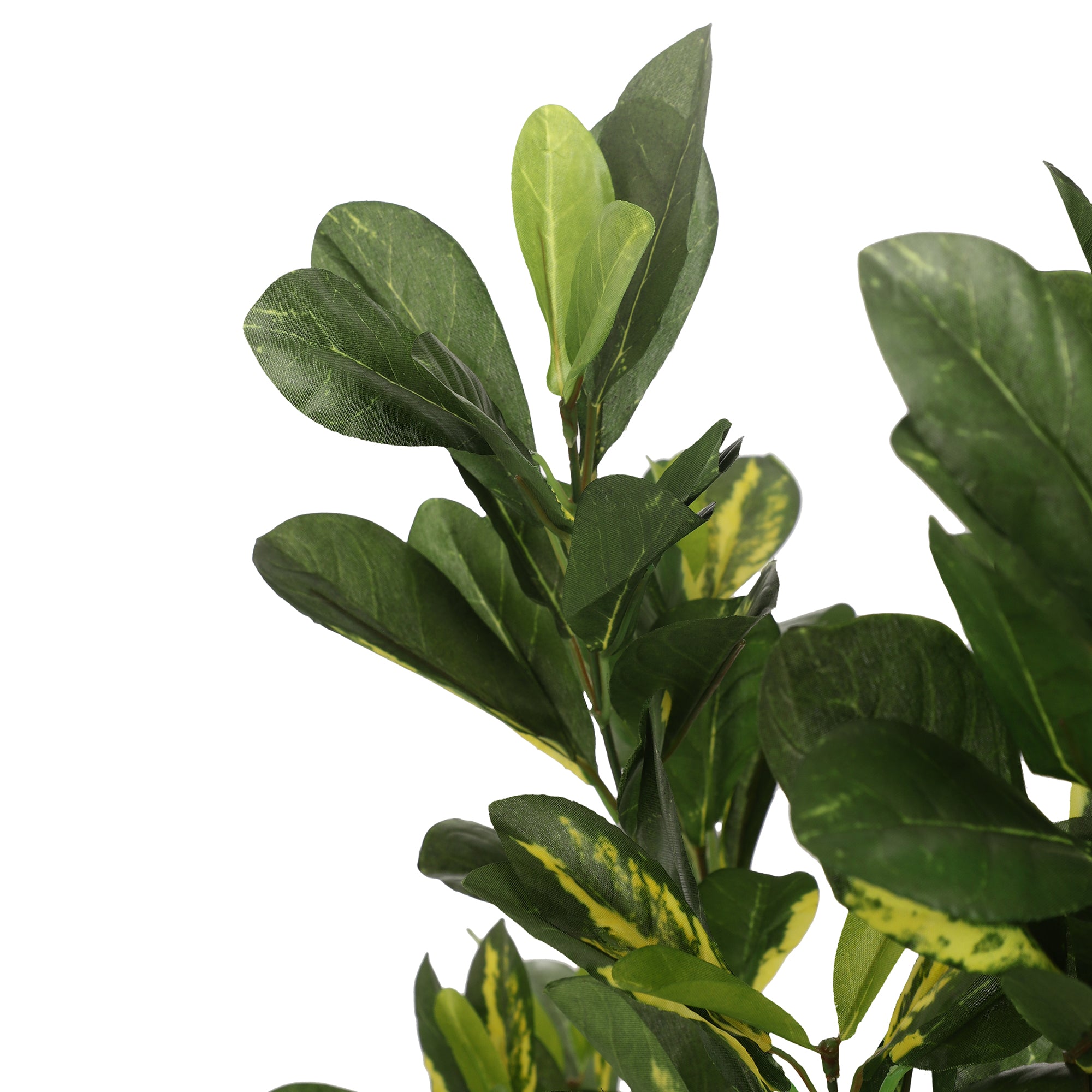 Schefflera Faux Plant (Dark Green)