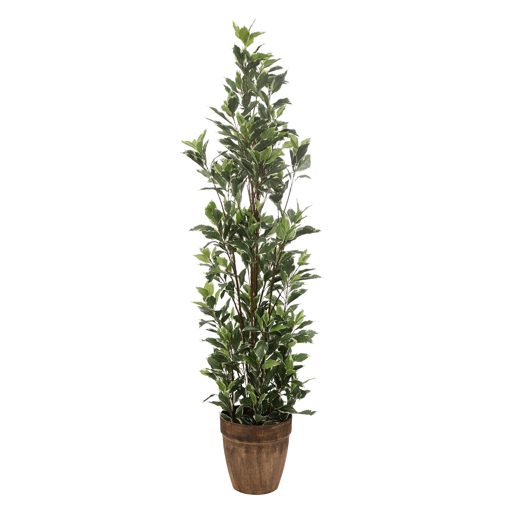 Schefflera Faux Plant (Green/White)