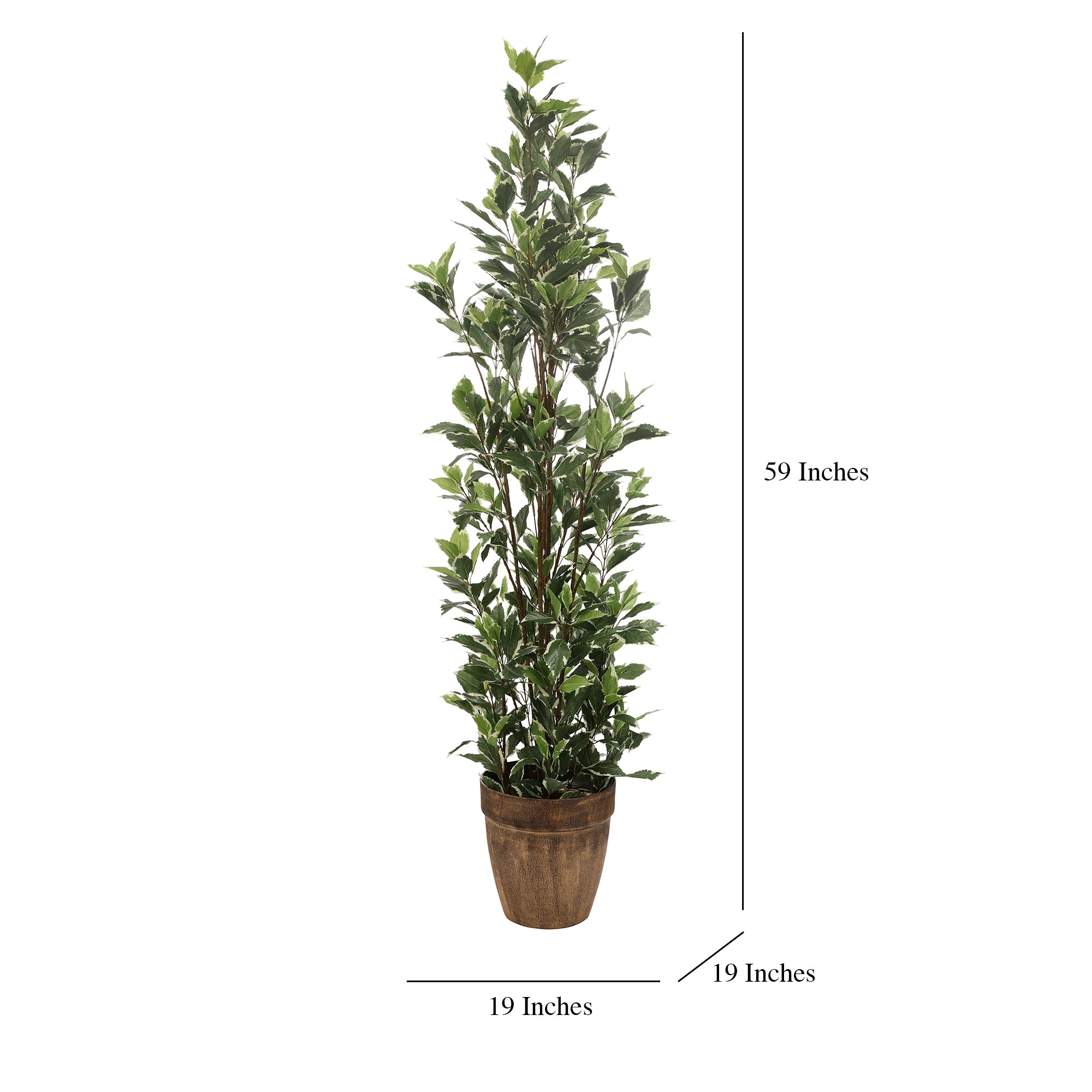 Schefflera Faux Plant (Green/White)