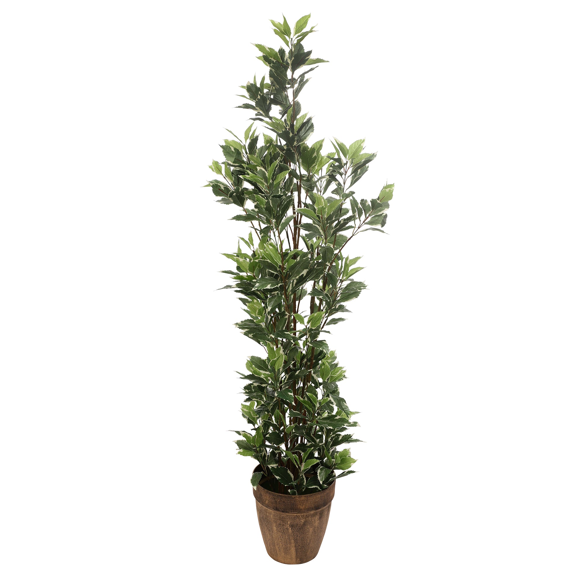 Schefflera Faux Plant (Green/White)