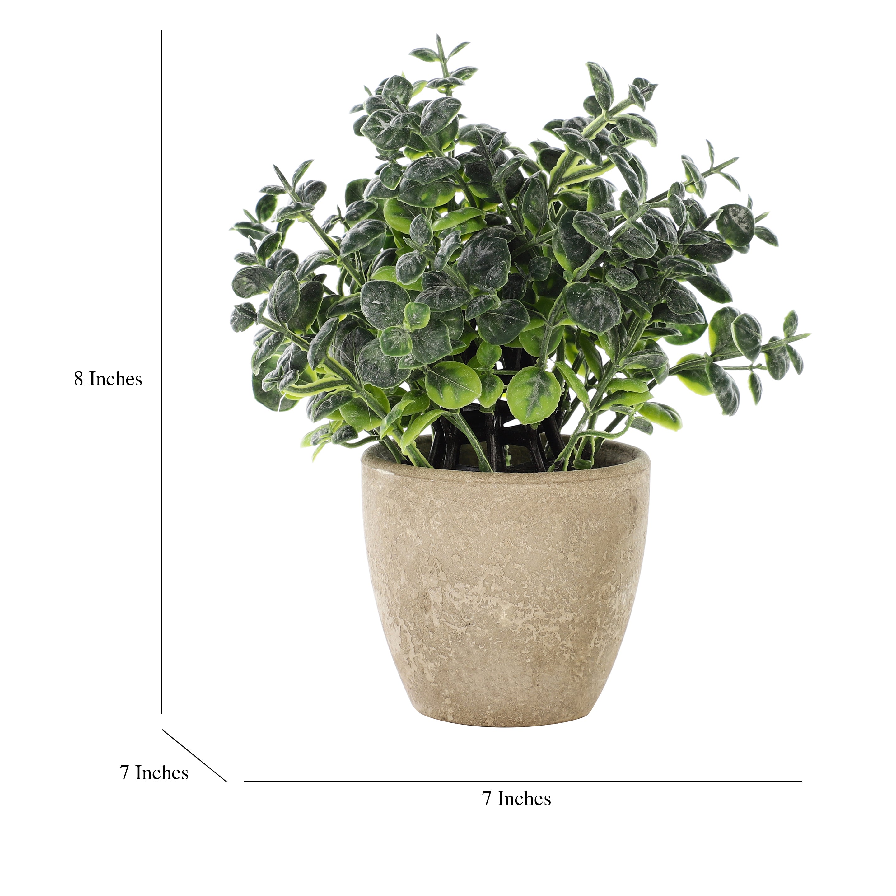 Faux Eucalyptus Bonsai Plant