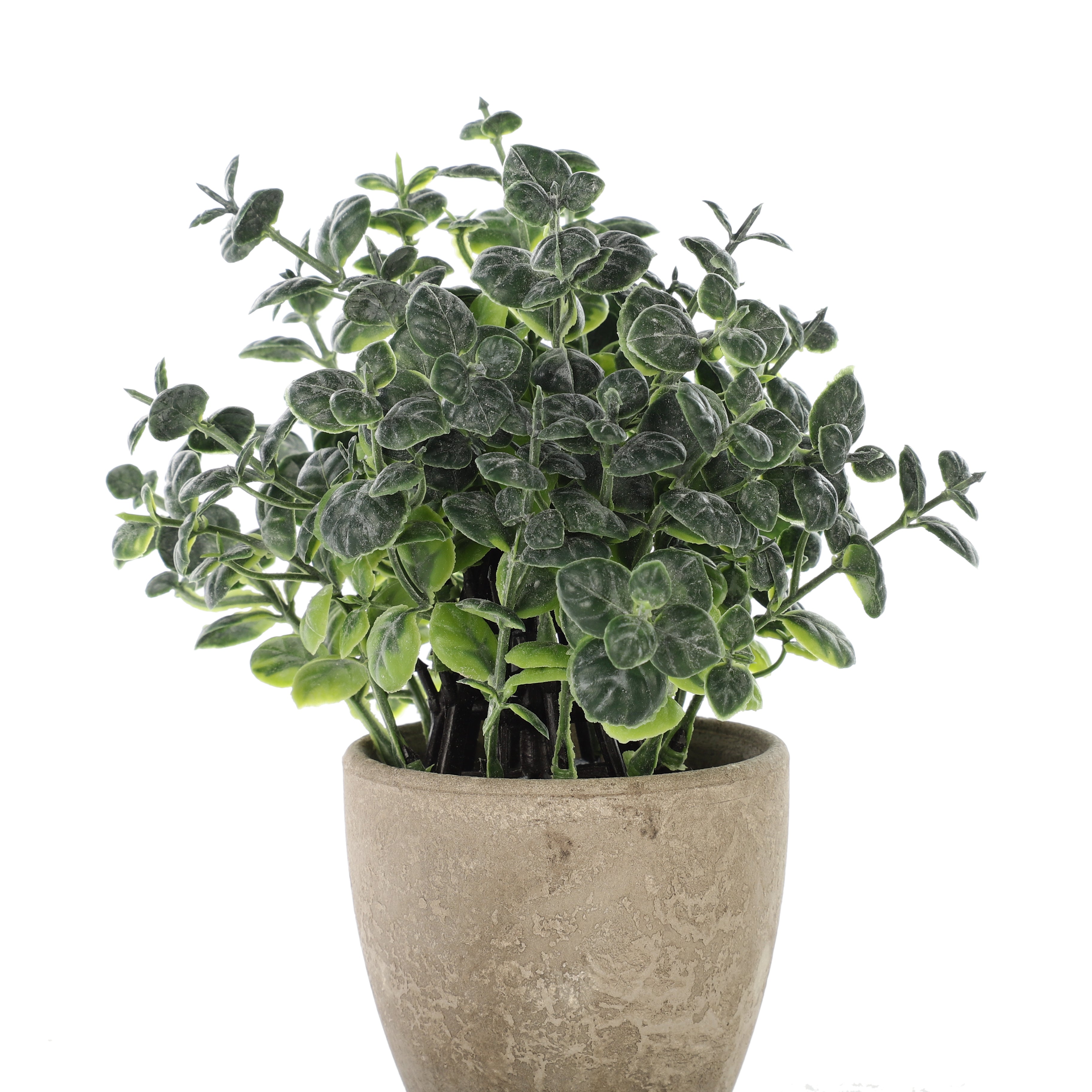 Faux Eucalyptus Bonsai Plant