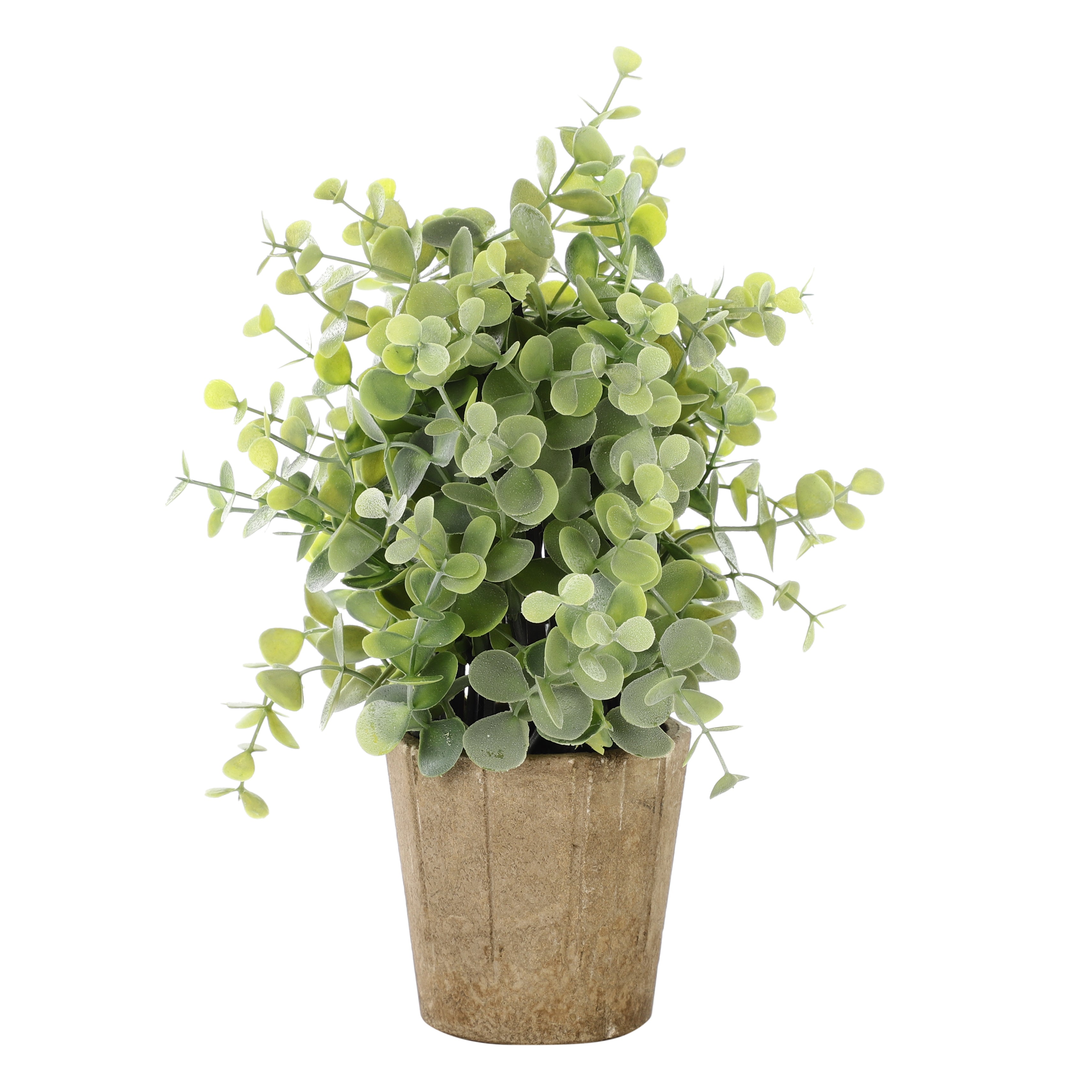 Faux Succulent Bonsai Plant