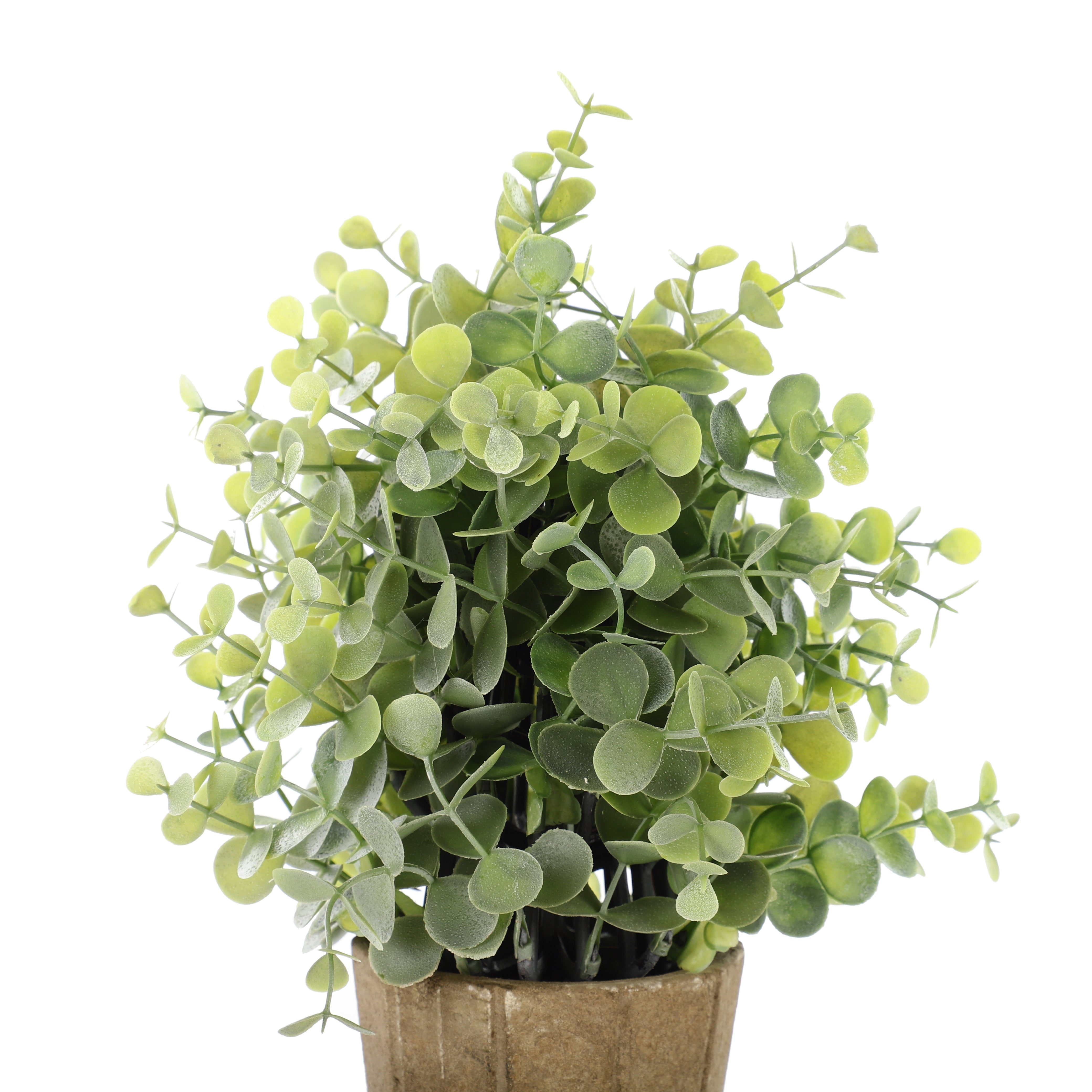 Faux Succulent Bonsai Plant