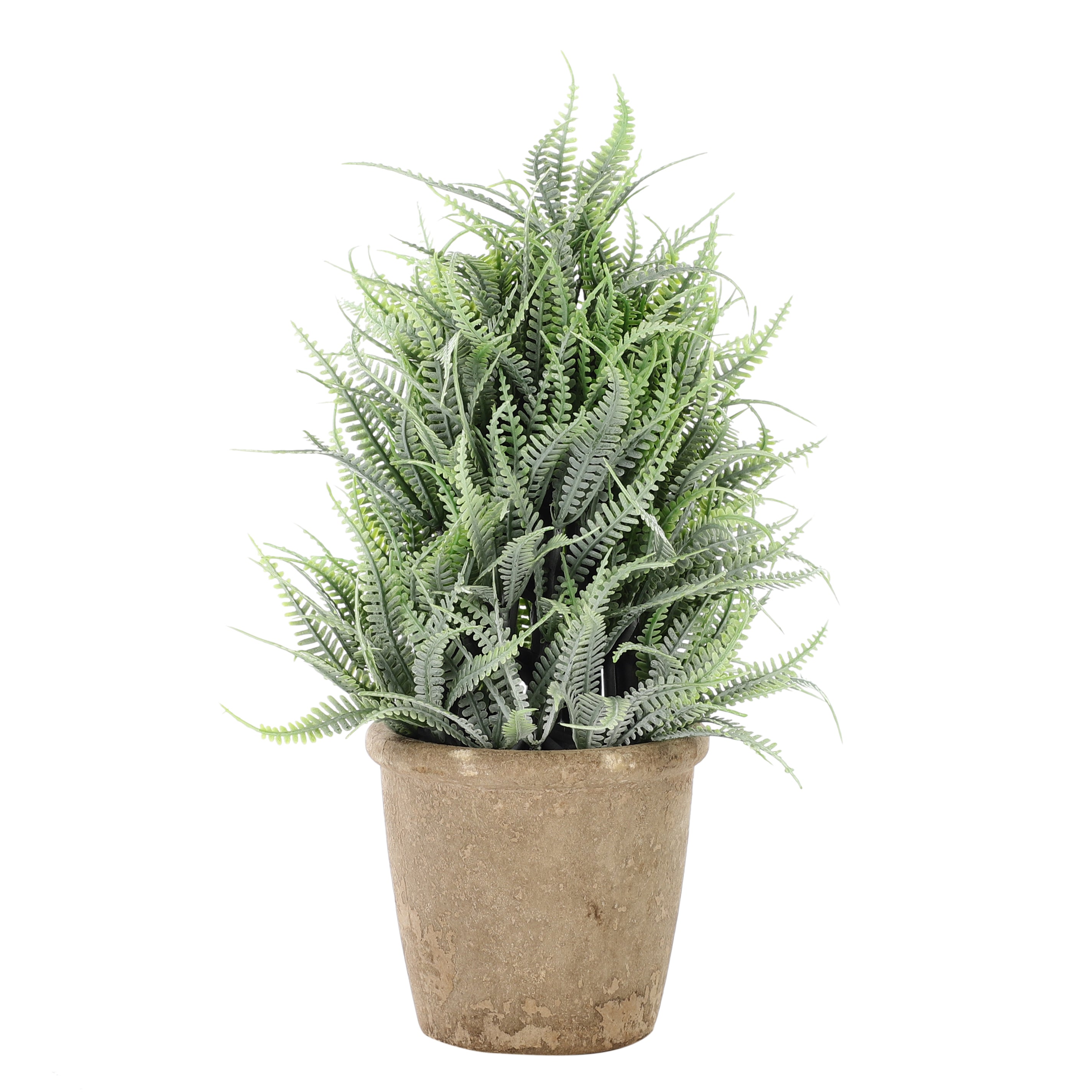 Faux Mountain Fern Bonsai Plant