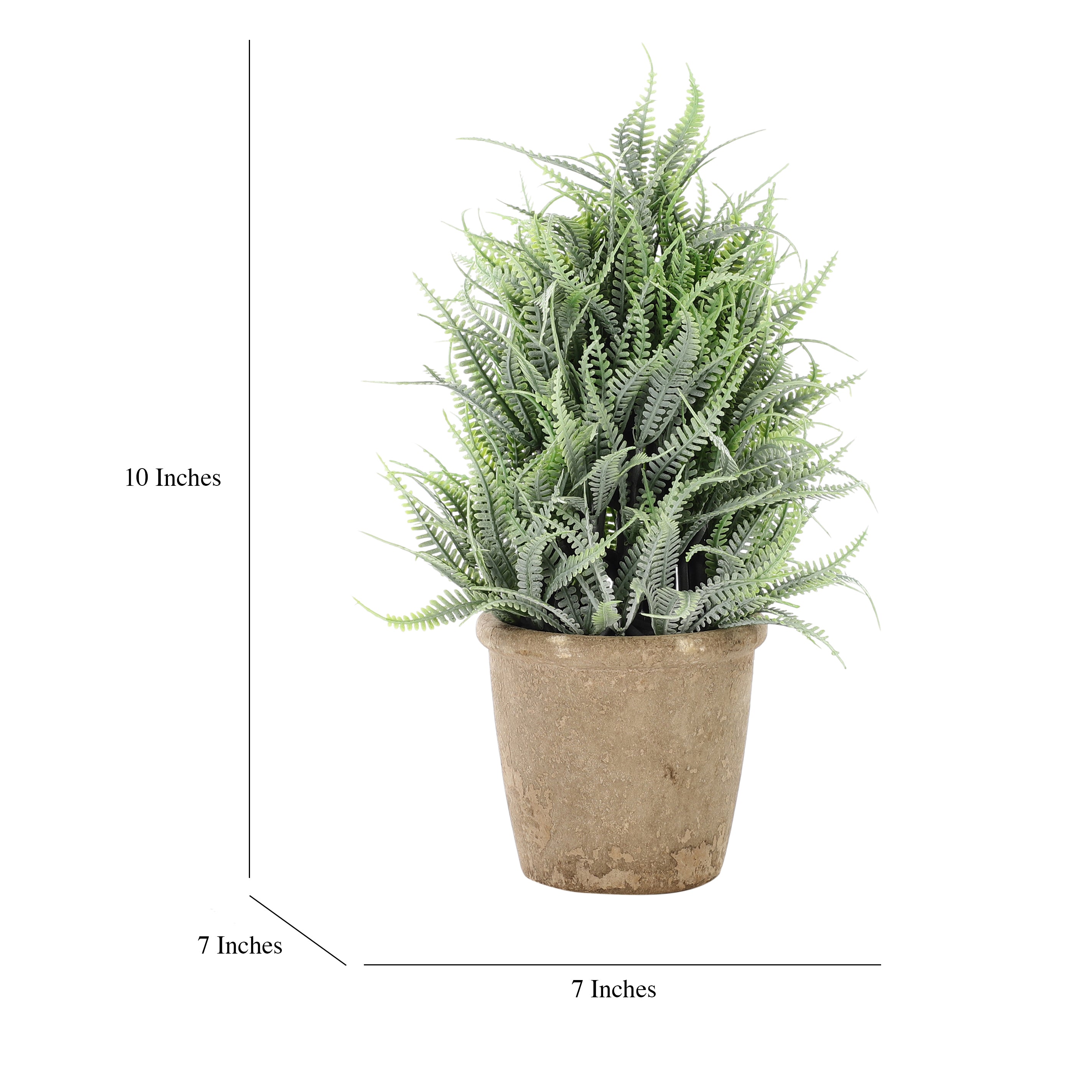 Faux Mountain Fern Bonsai Plant