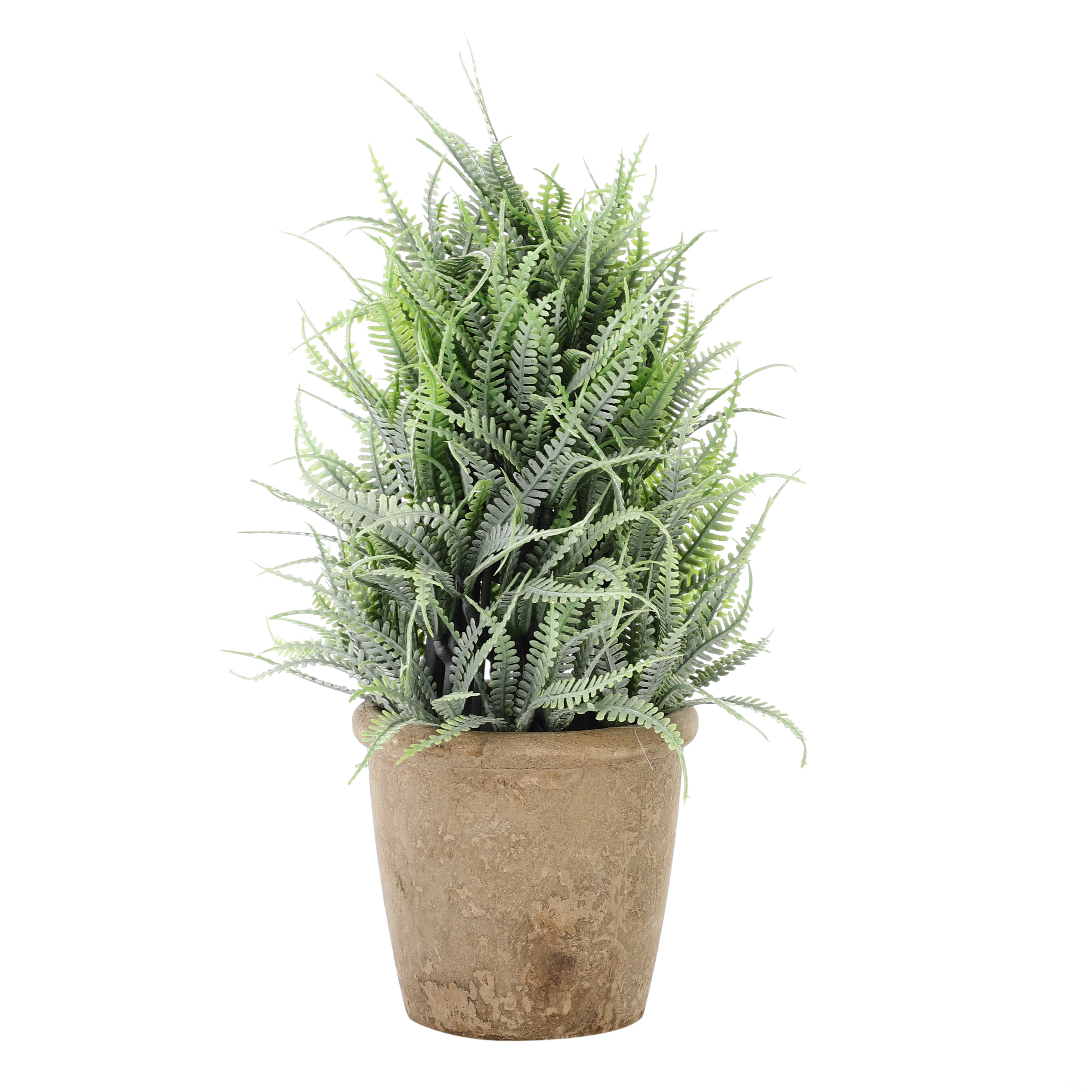 Faux Mountain Fern Bonsai Plant