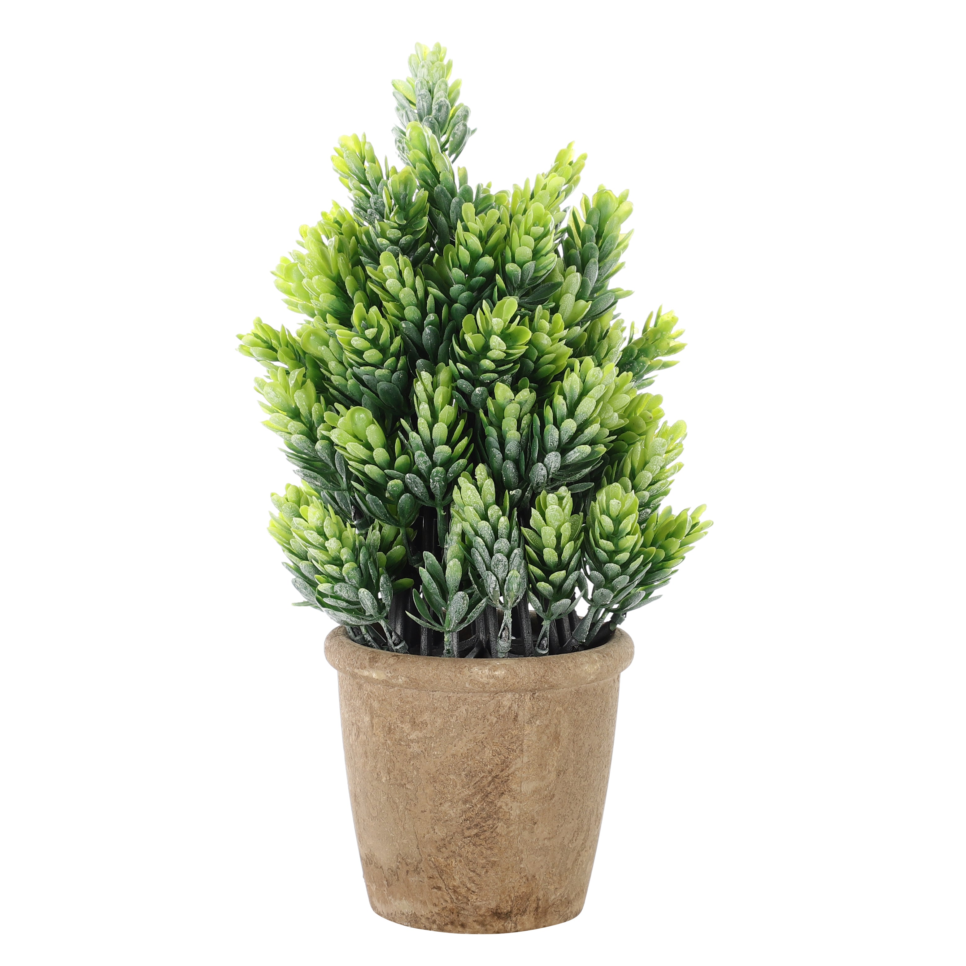 Faux Burro's Tail Succulent Bonsai Plant