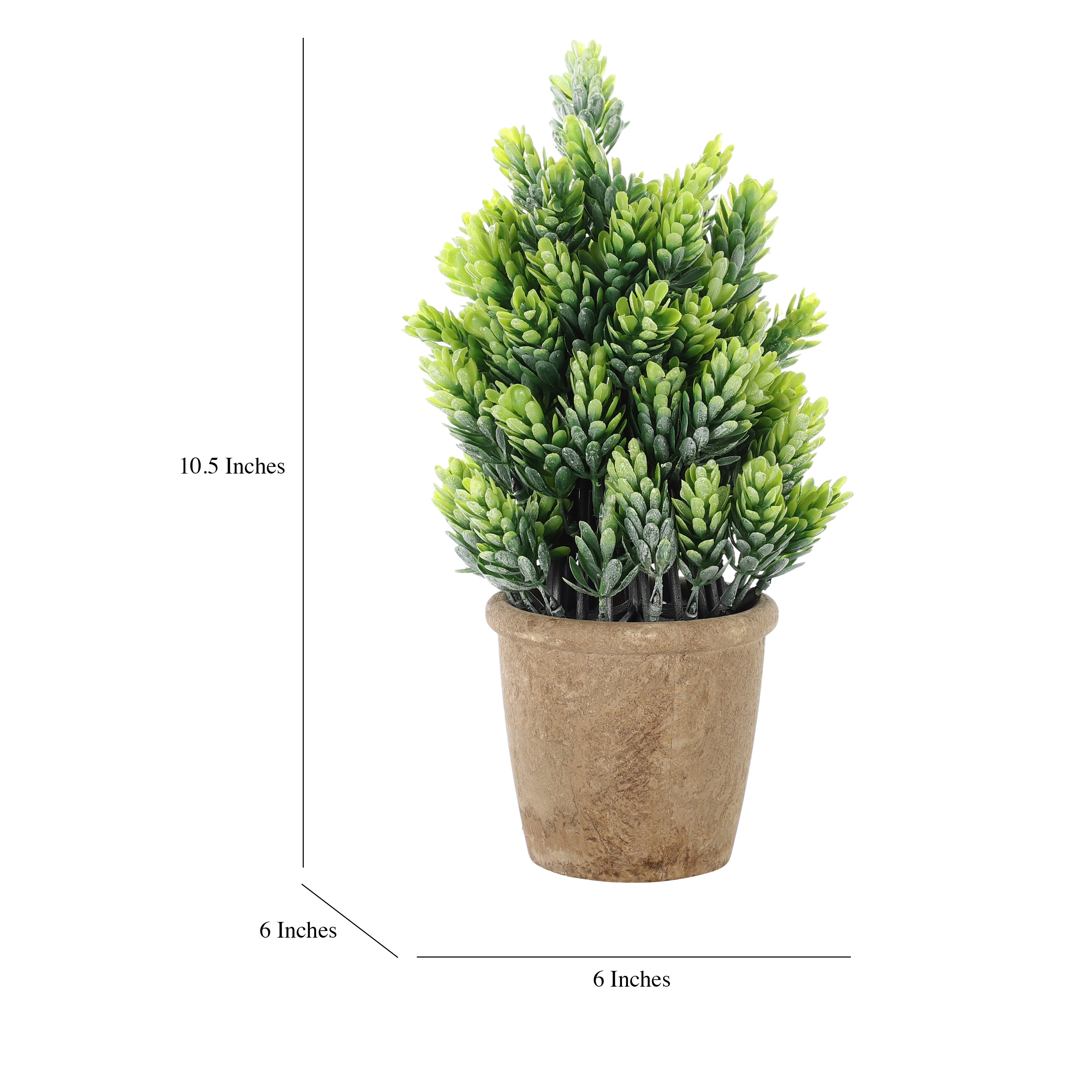 Faux Burro's Tail Succulent Bonsai Plant