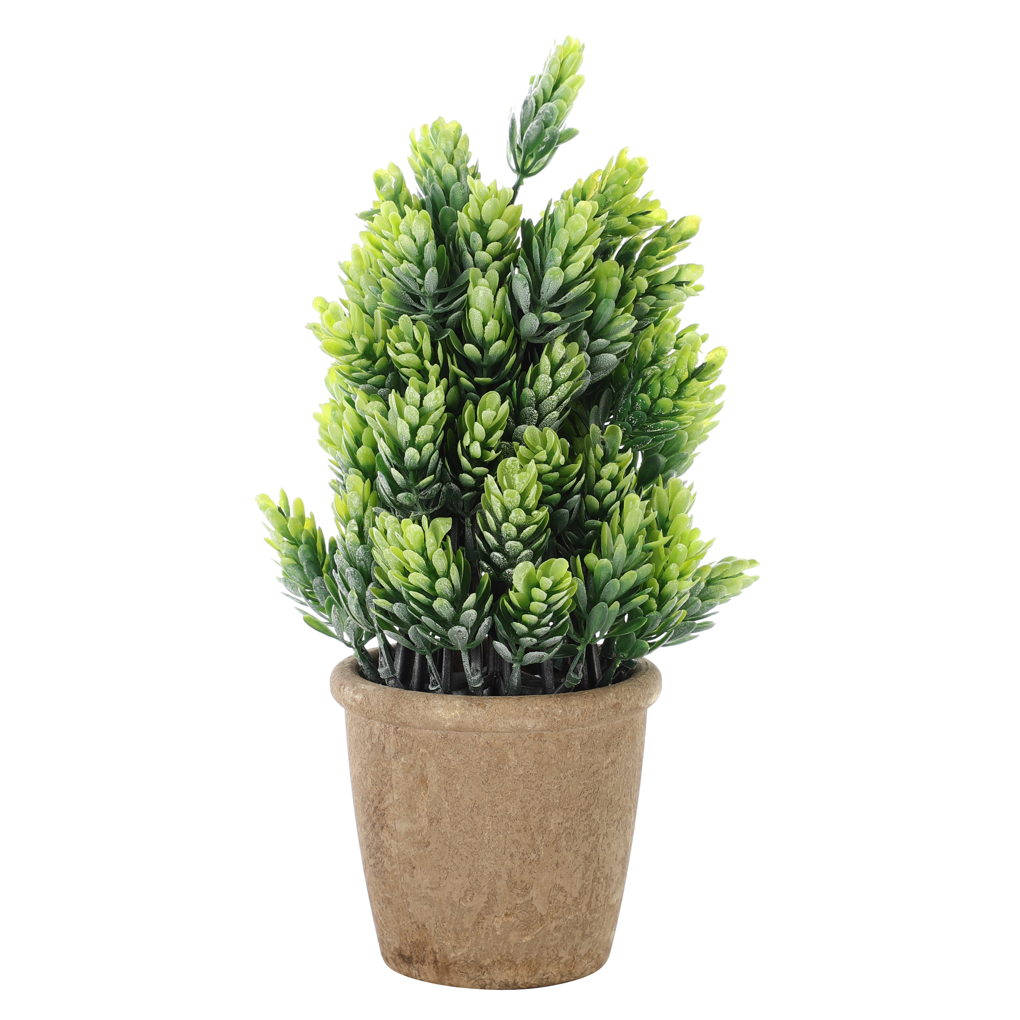 Faux Burro's Tail Succulent Bonsai Plant