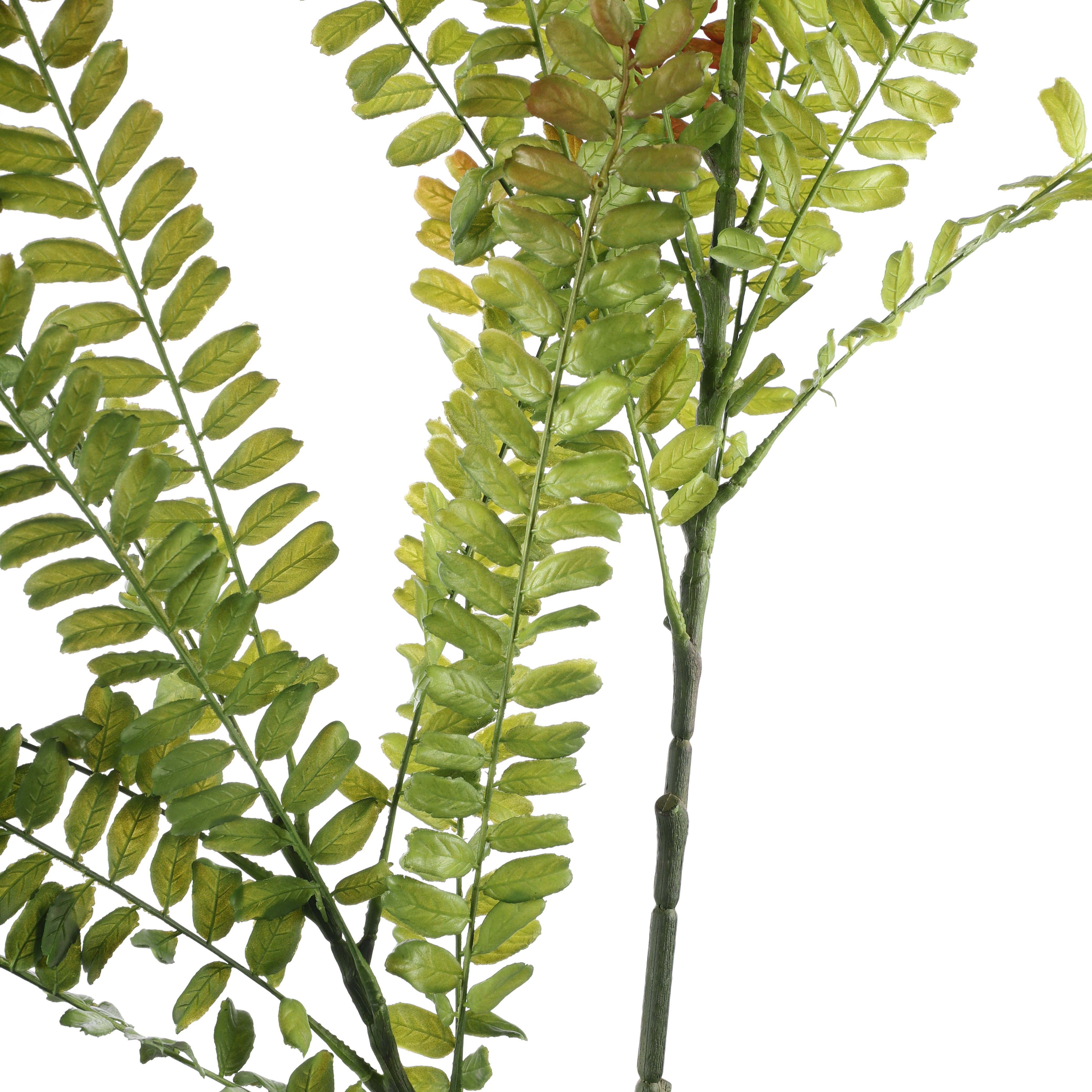 Faux Maidenhair Fern Stick (Single)