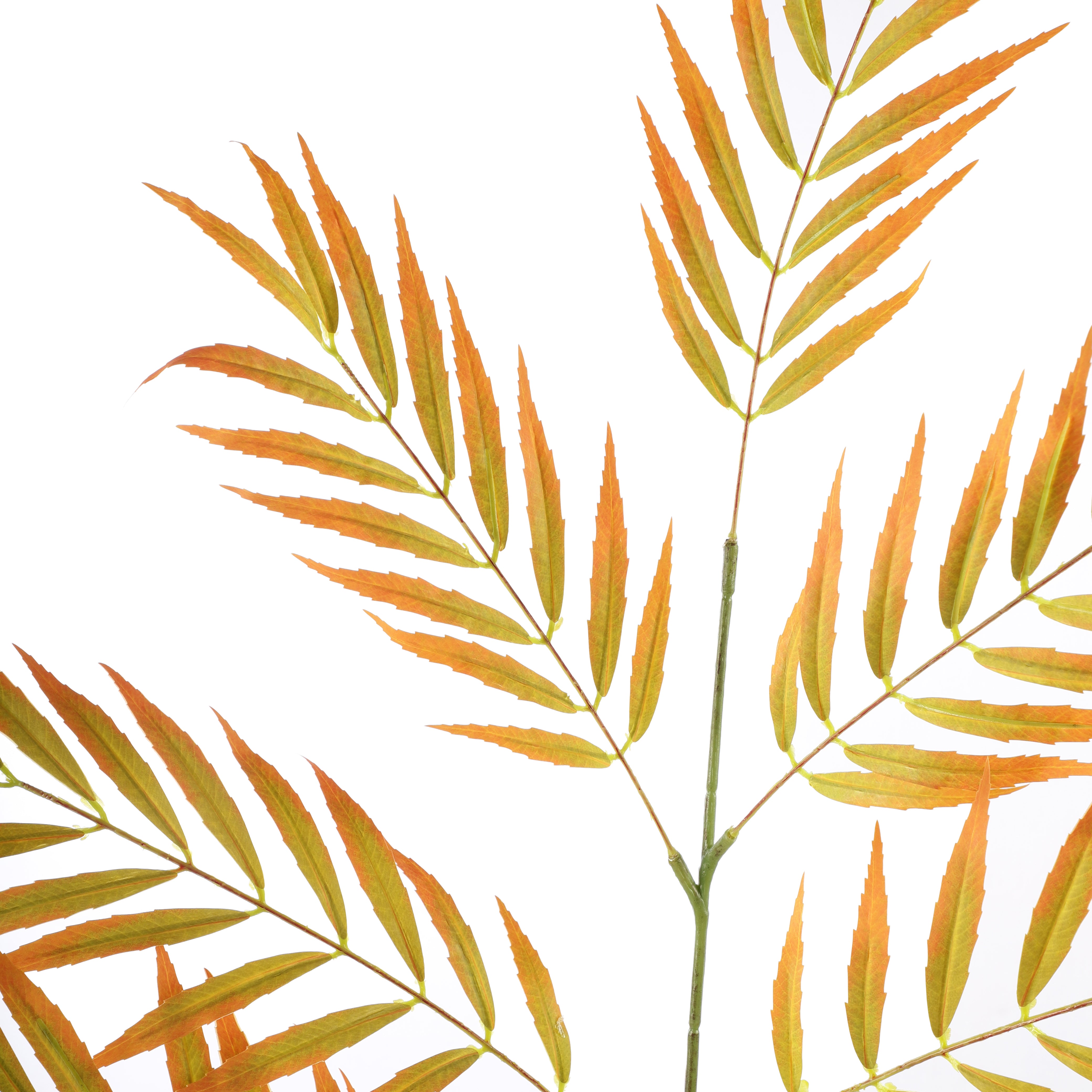 Faux Good Luck Palm (Single)