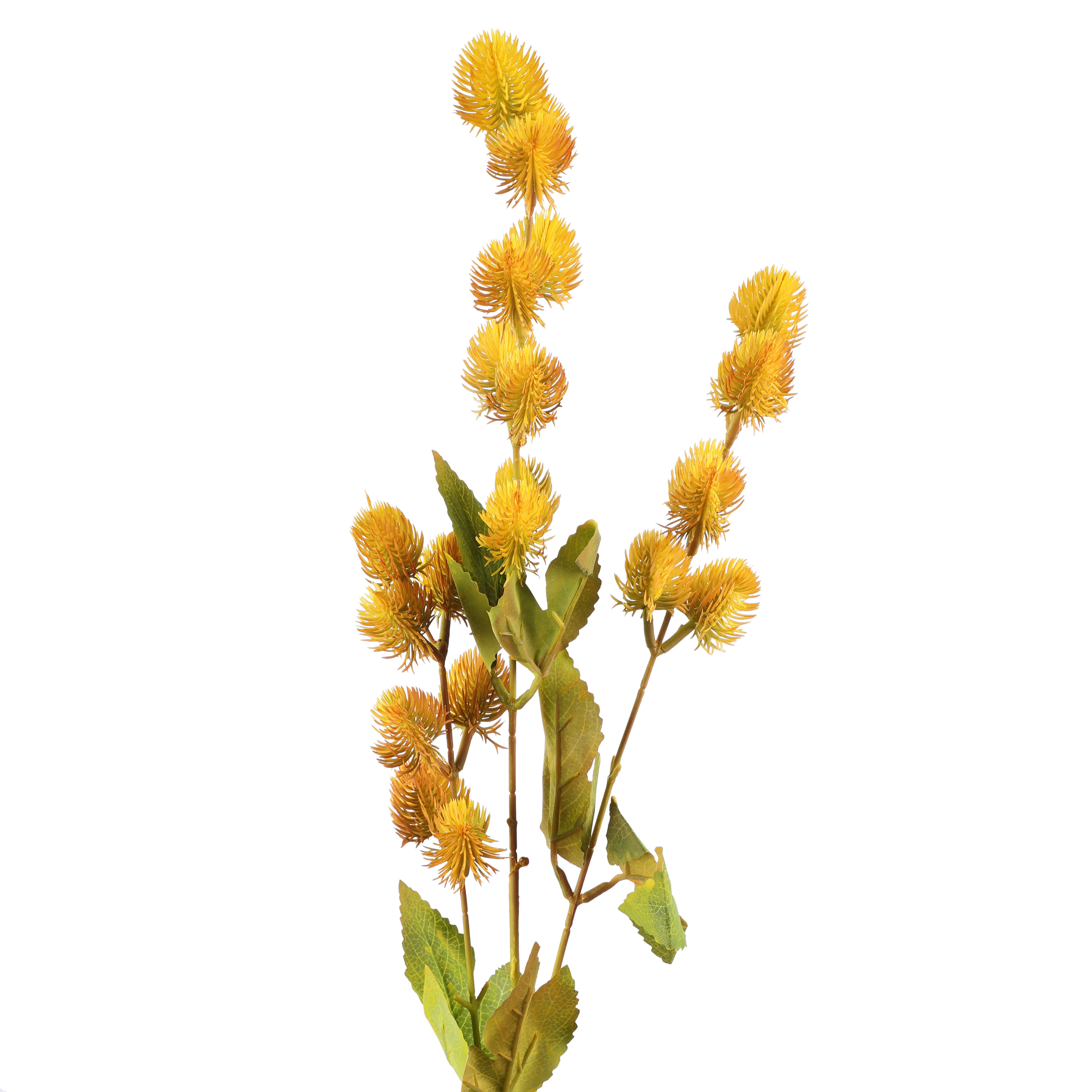 Faux Yellow Eucalyptus Stem With Buds (Single)