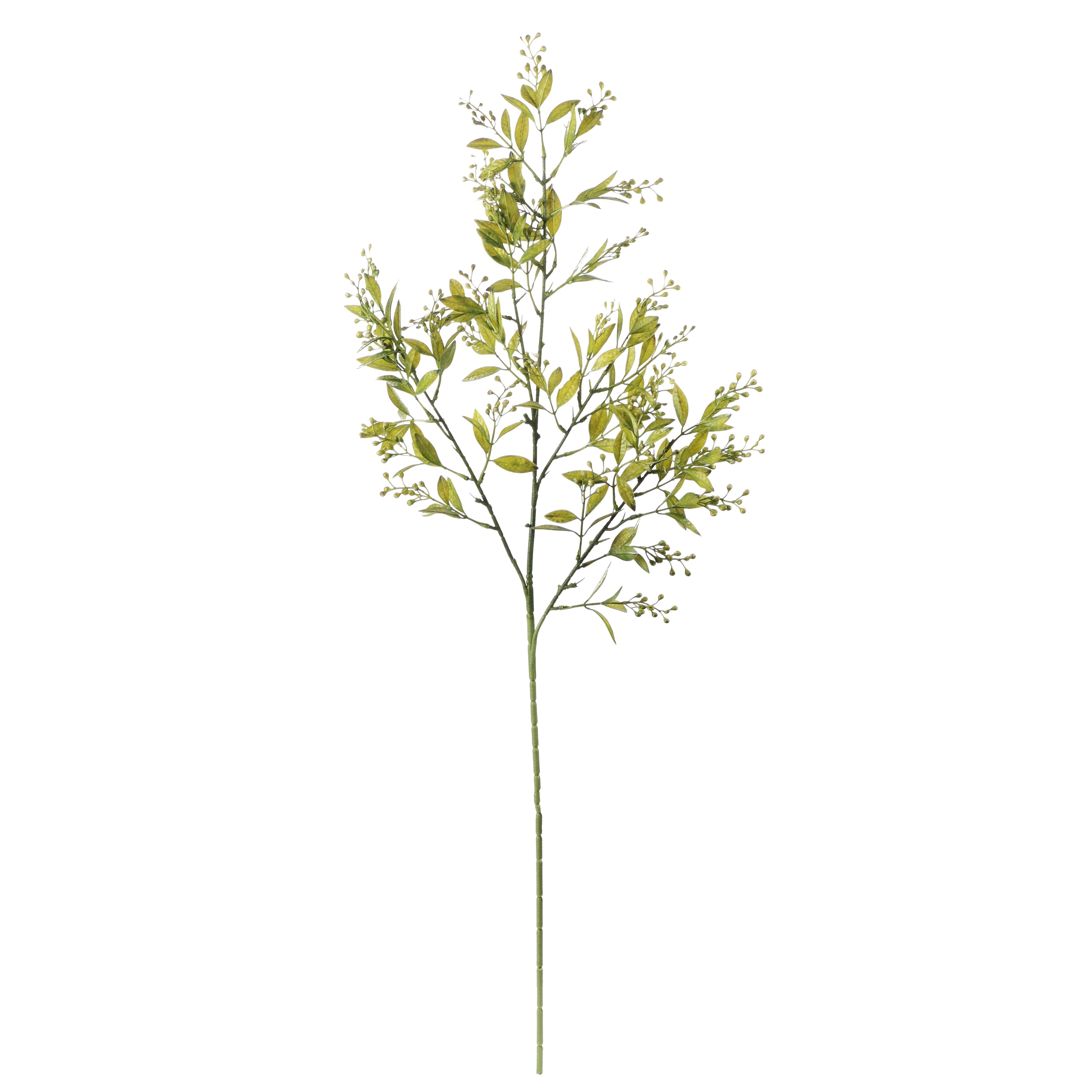 Faux Pittosporum Stick (Single)