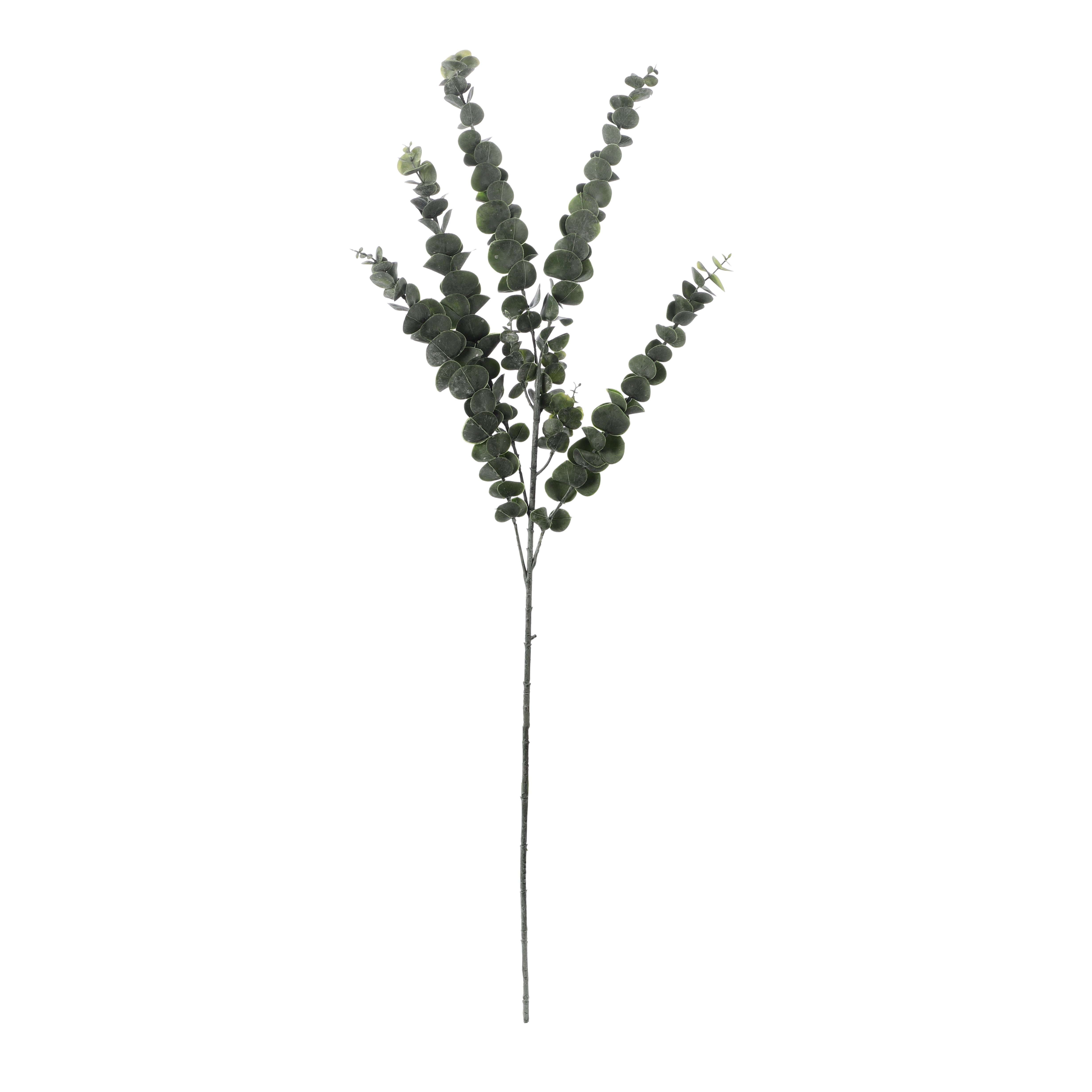 Faux Eucalyptus Stem (Single)