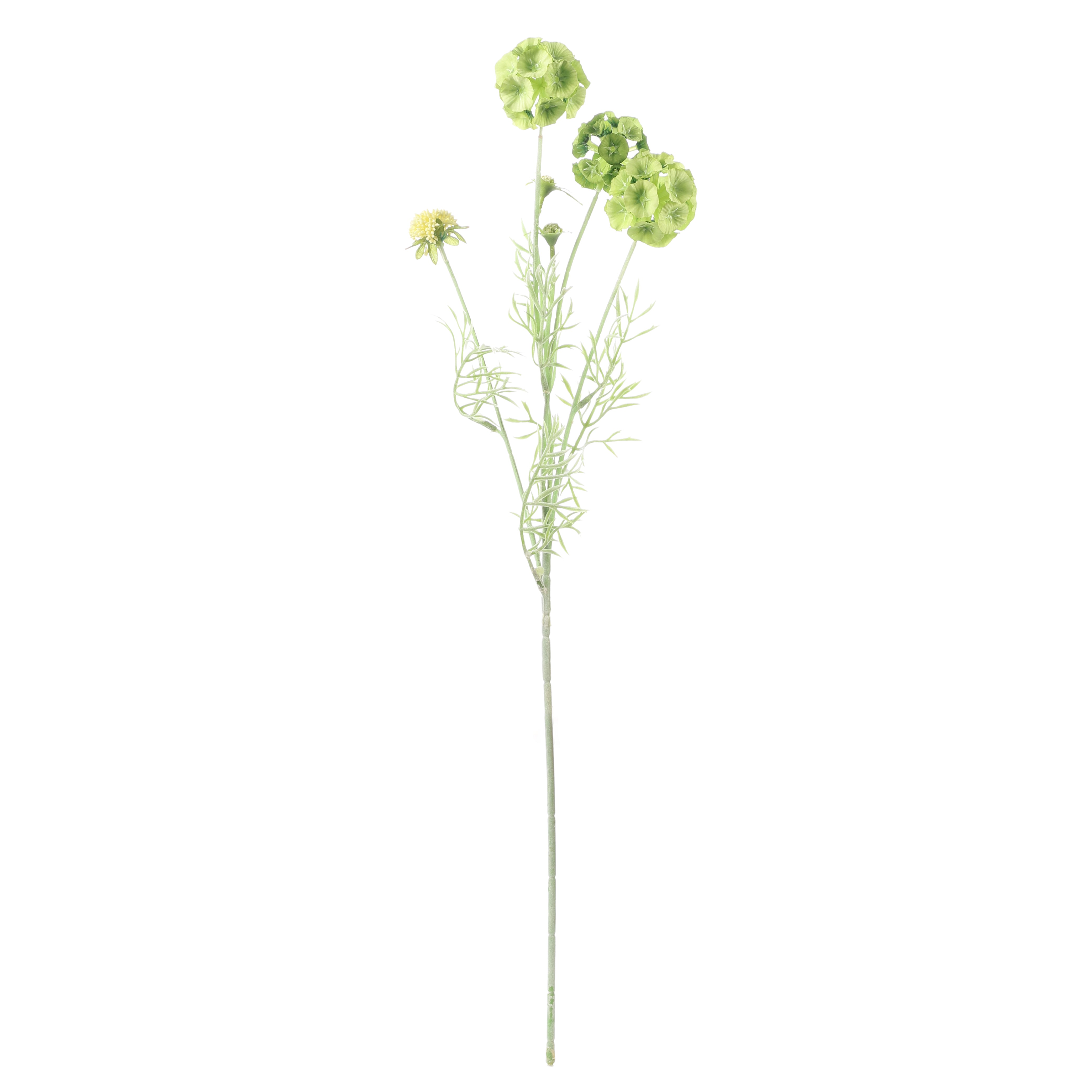 Faux Green Scabiosa Stellata Stem (Single)