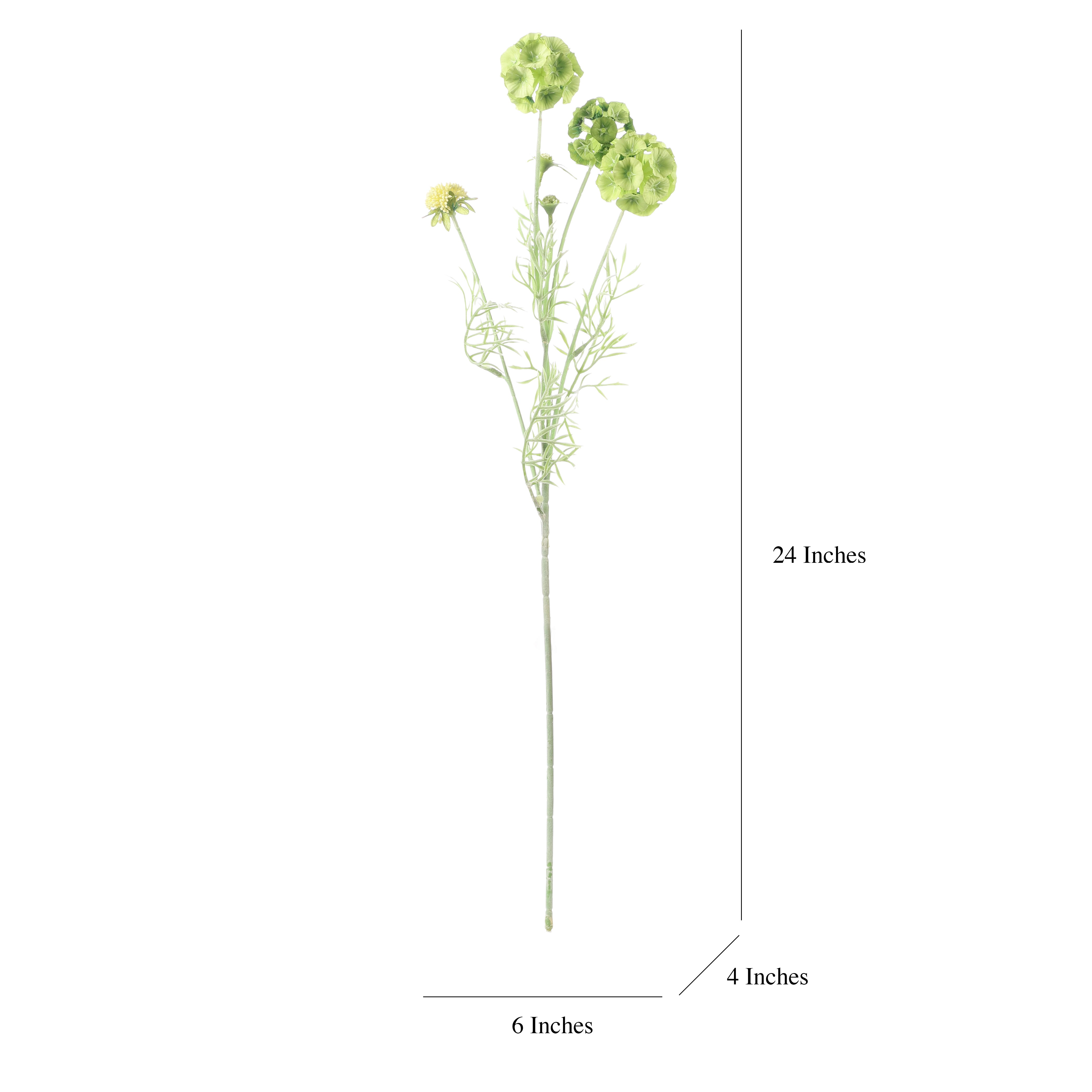 Faux Green Scabiosa Stellata Stem (Single)