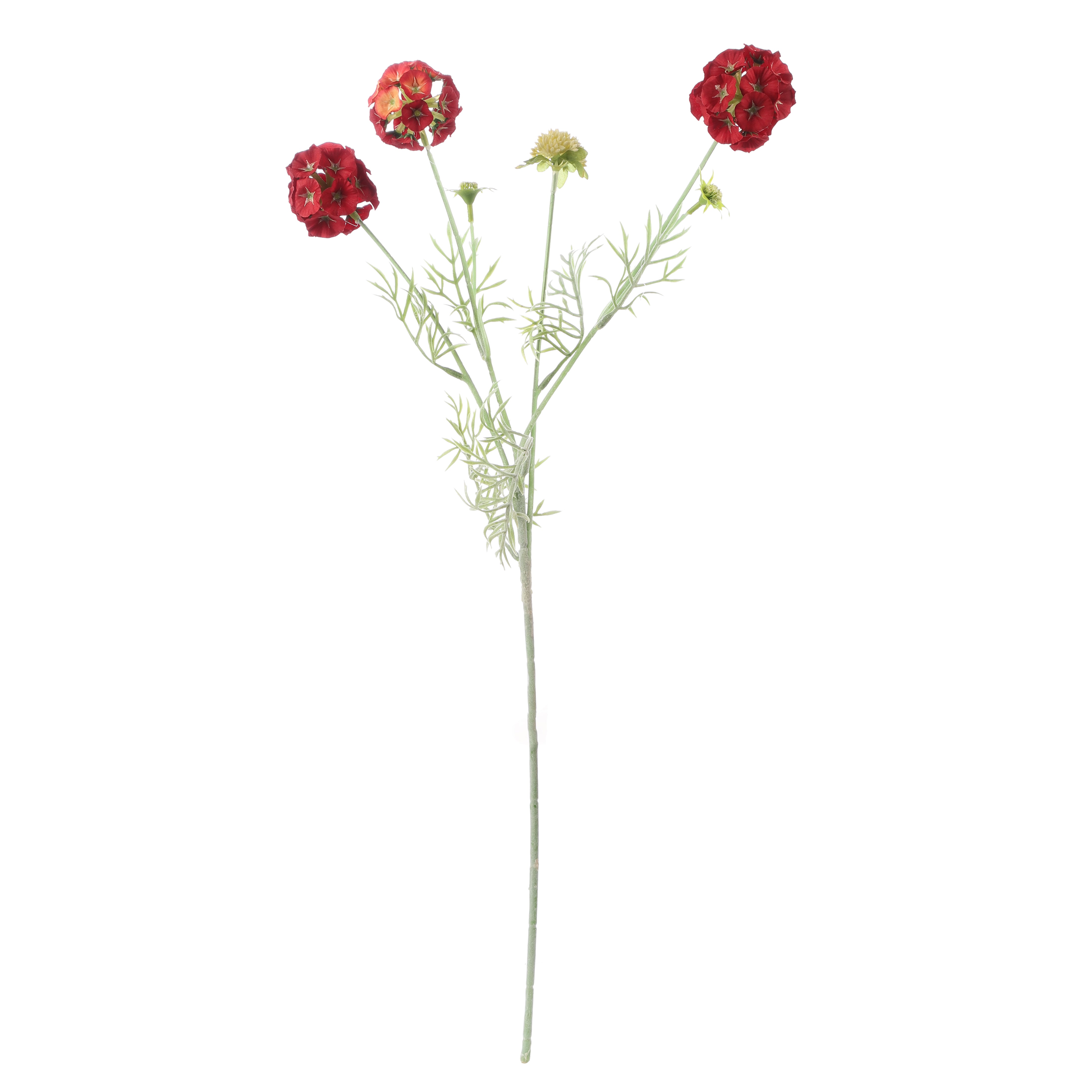 Faux Red Scabiosa Stellata Stem (Single)