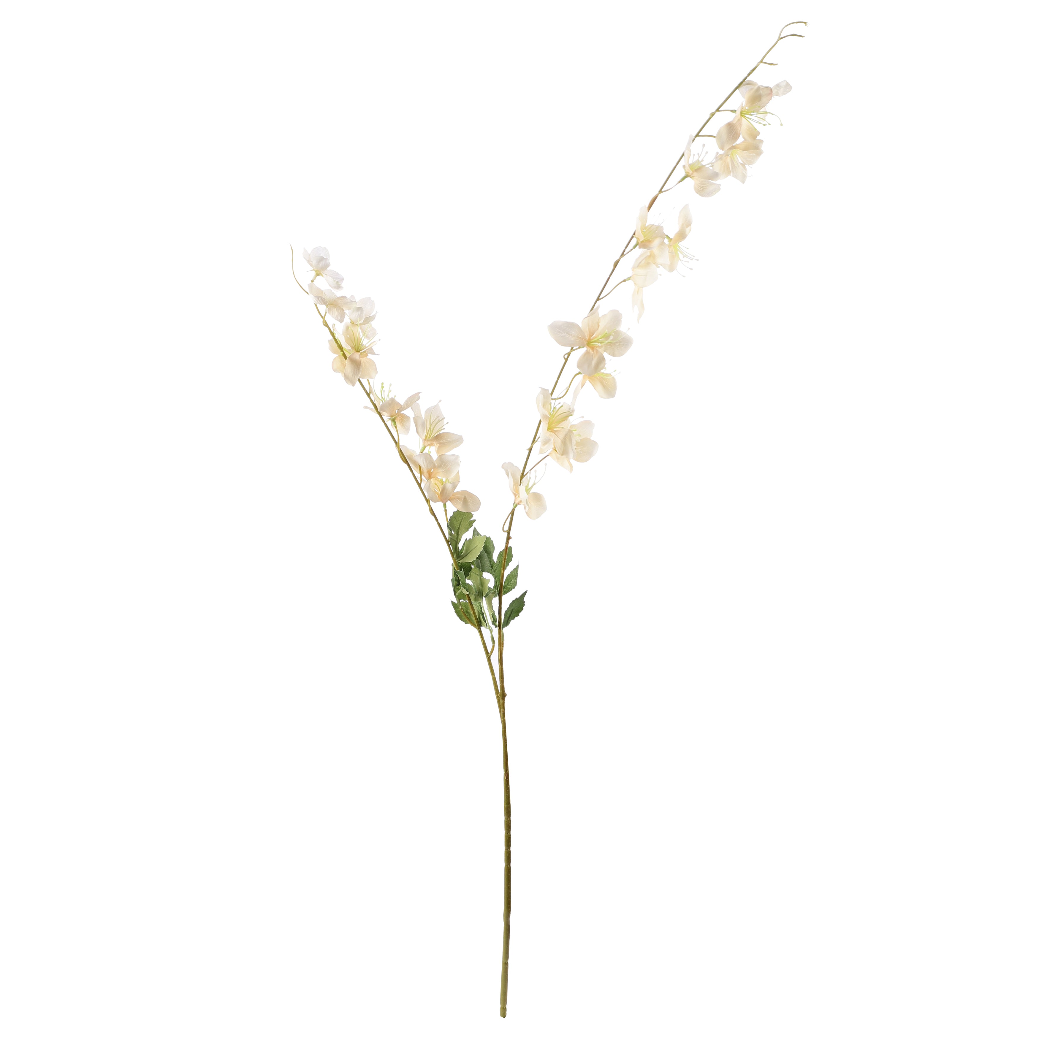 Faux Cream Wisteria Flower Stem (Single)