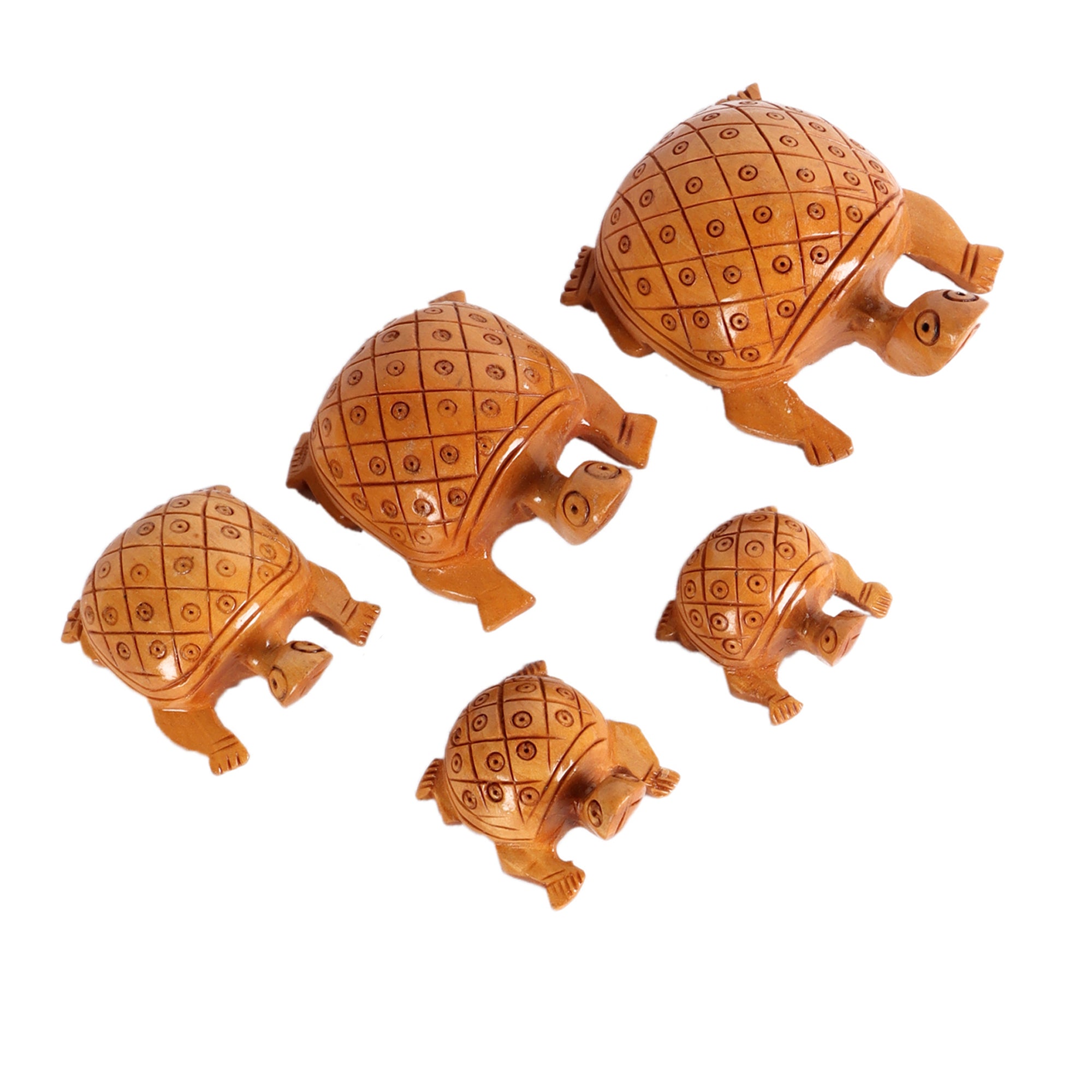 A Bale of Turtles (Set of 5)1