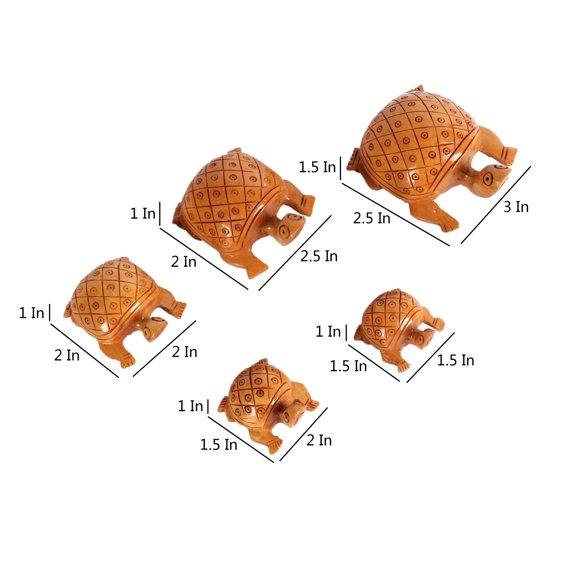 A Bale of Turtles (Set of 5)2