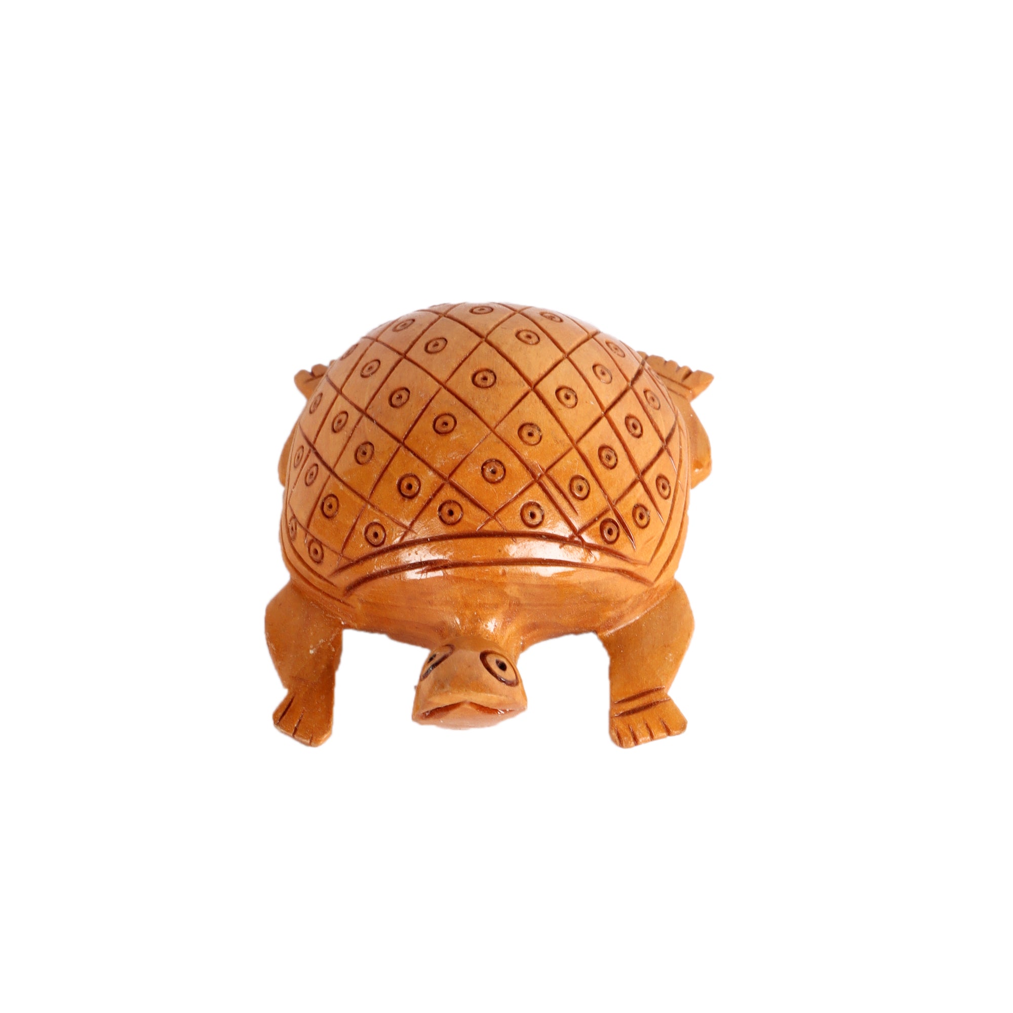 A Bale of Turtles (Set of 5)4