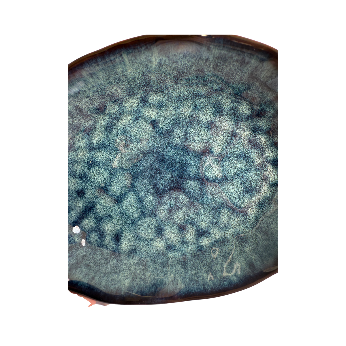 Tide Pool Ceramic Shallow Bowl