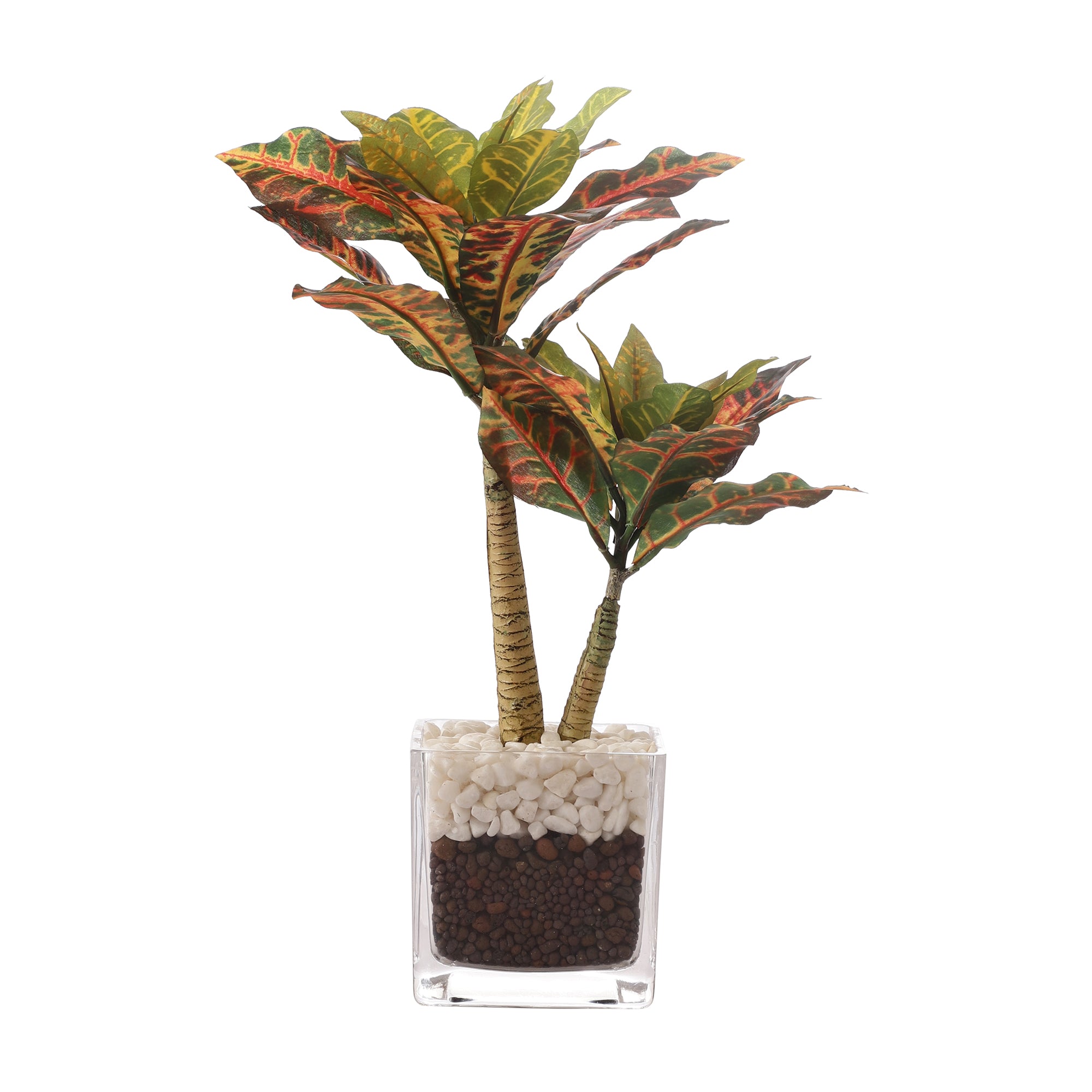 Croton Faux Bonsai Plant in Glass Pot