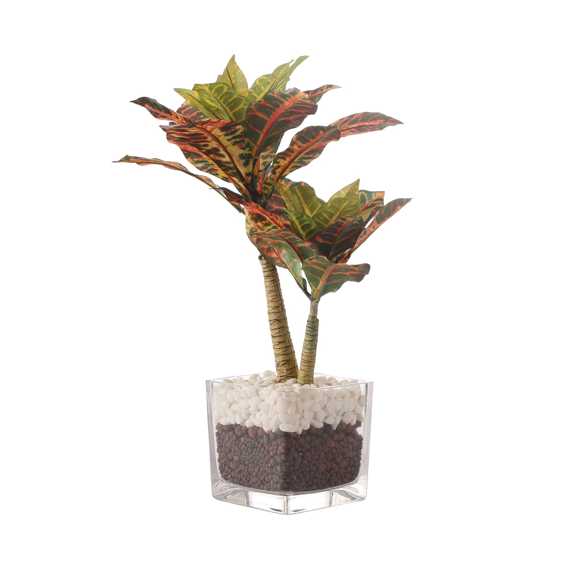 Croton Faux Bonsai Plant in Glass Pot